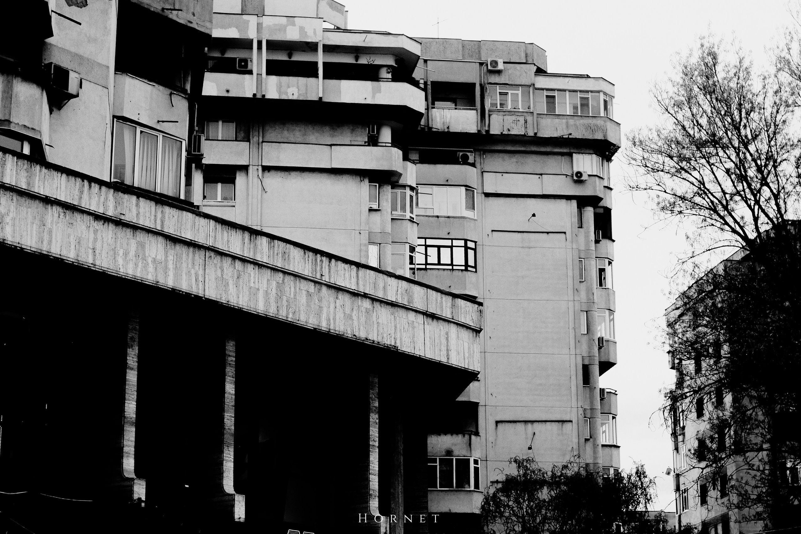 5.04.2025 Ploiesti | Romania. Hornetart