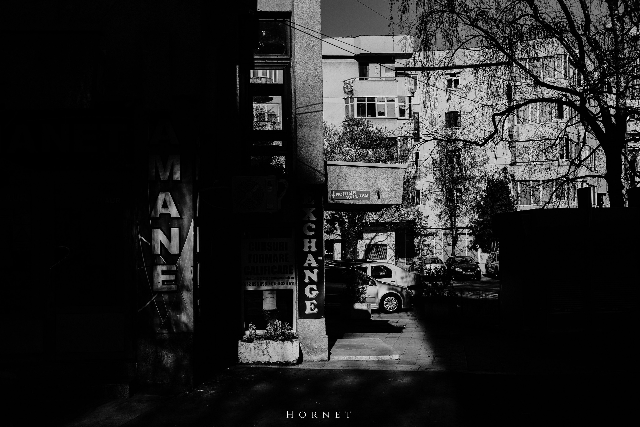 14.03.2026 Ploiesti | Romania. Hornetart