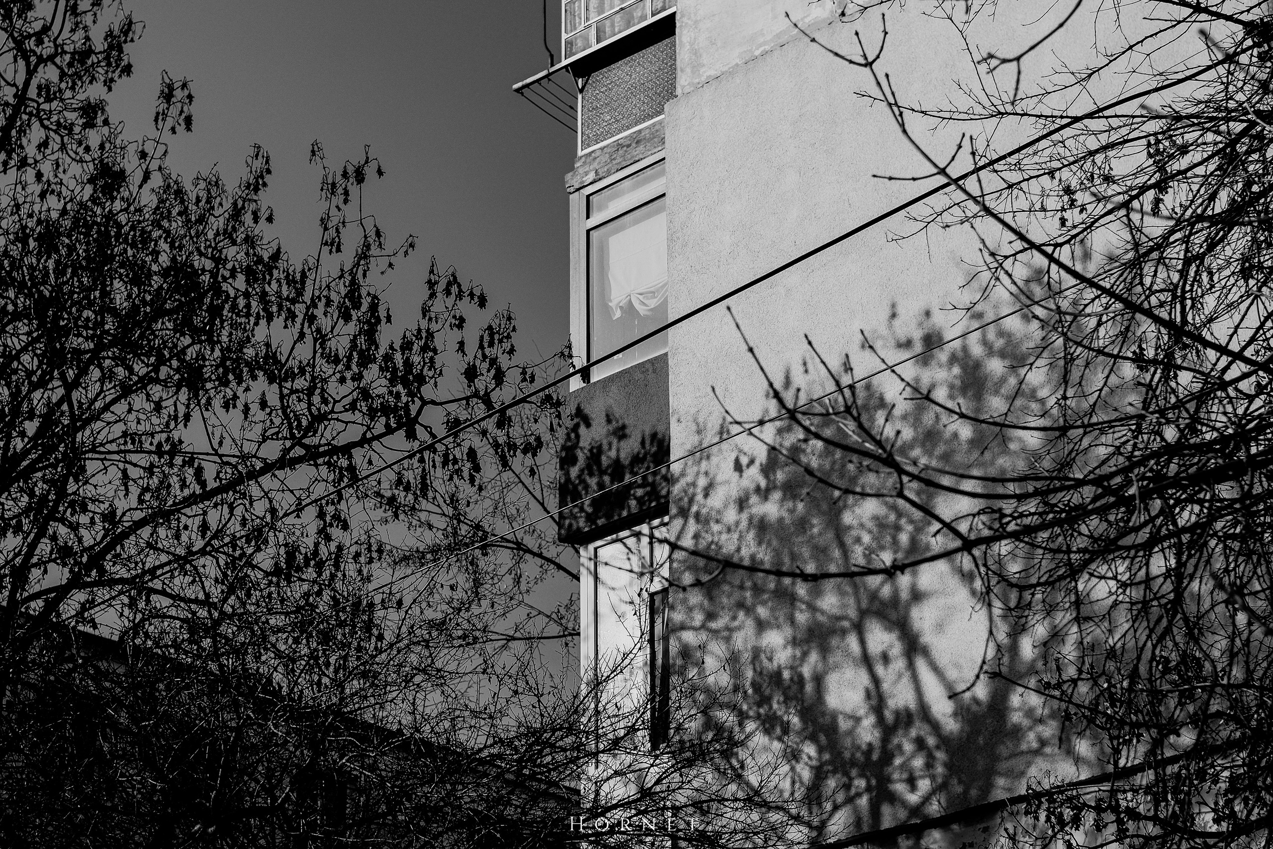 7.02.2025 Ploiesti | Romania. Hornetart