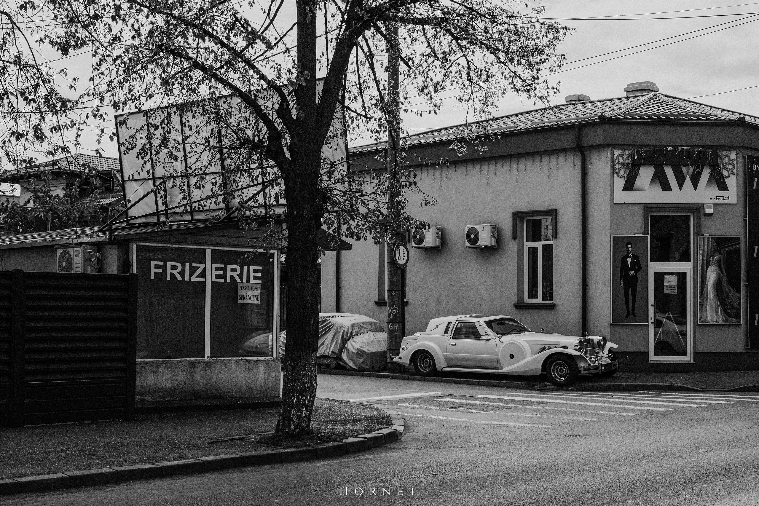 12.04.2025 Ploiesti | Romania. Hornetart