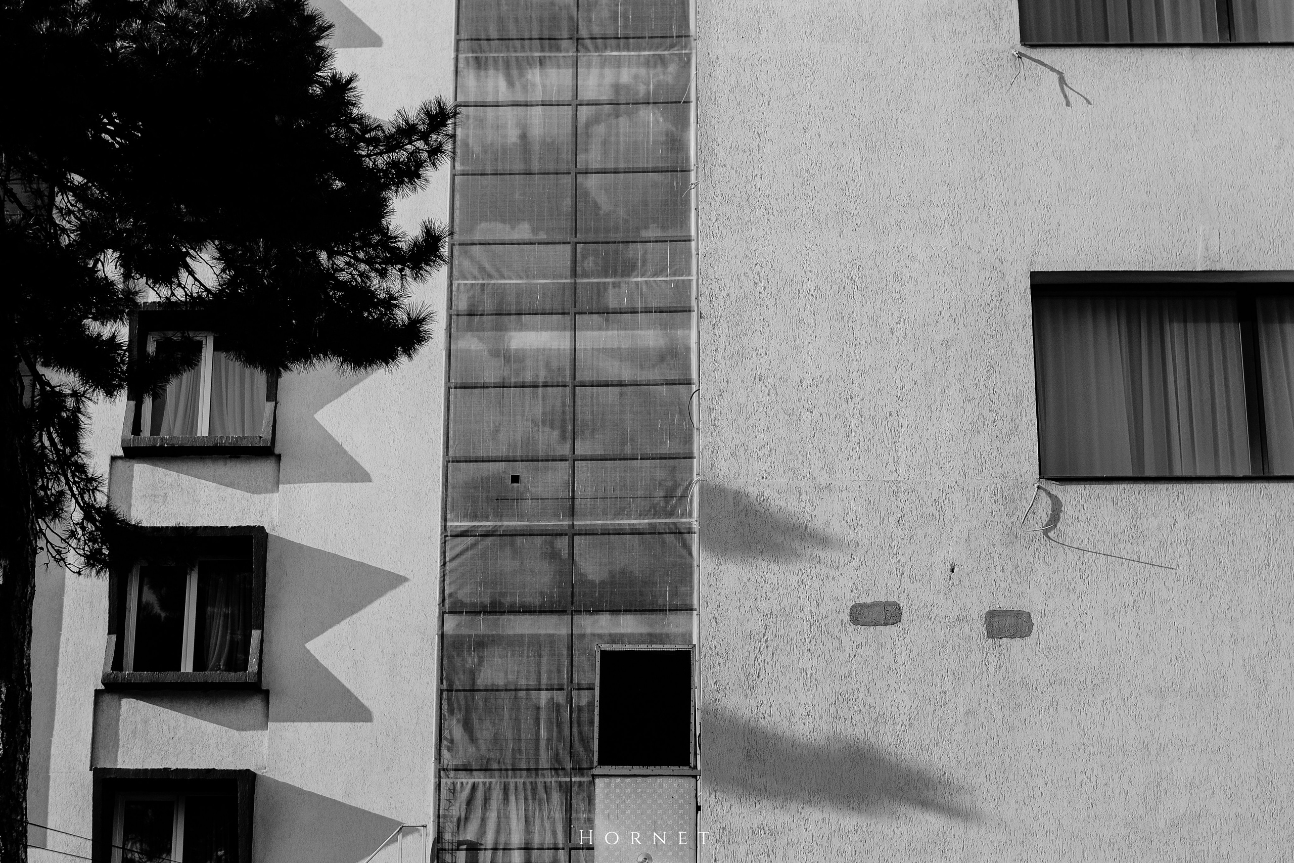 7.02.2025 Ploiesti | Romania. Hornetart