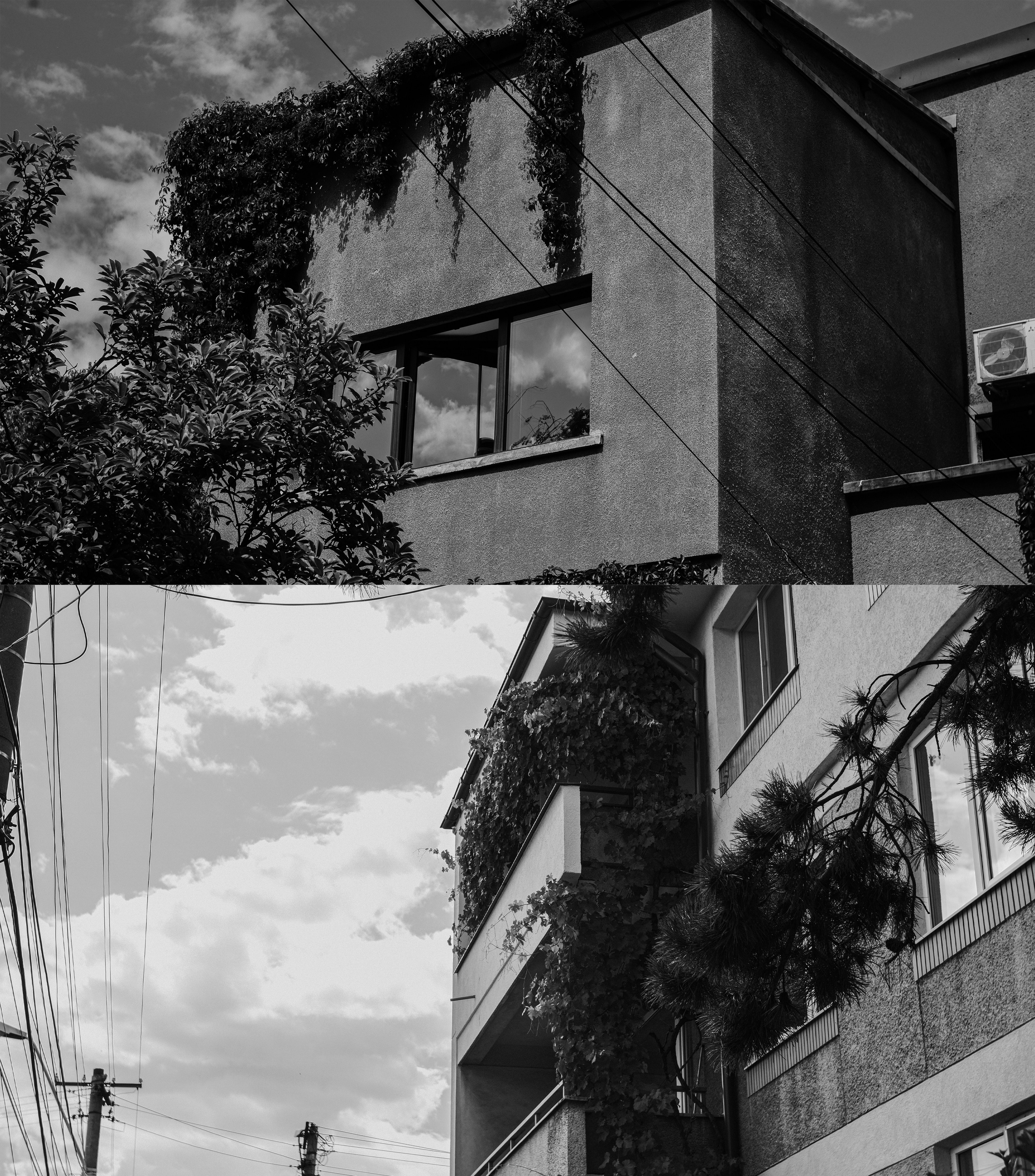 21.06.2025 Ploiesti | Romania. Hornetart