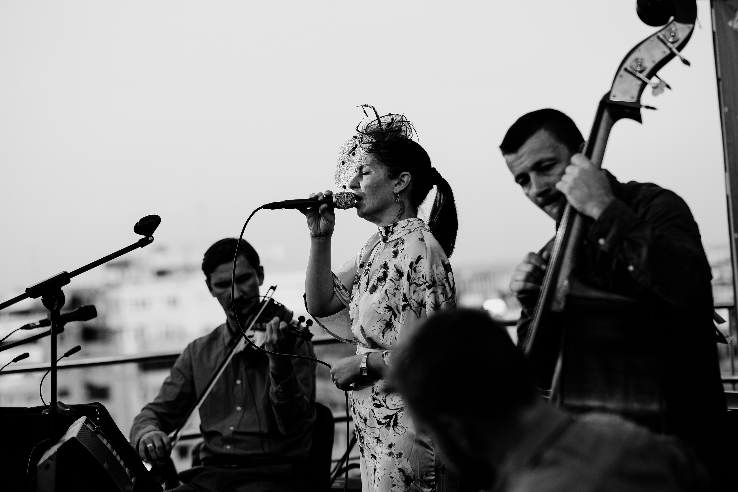 Luiza Zan & Jazzpar Trio. Hornetart