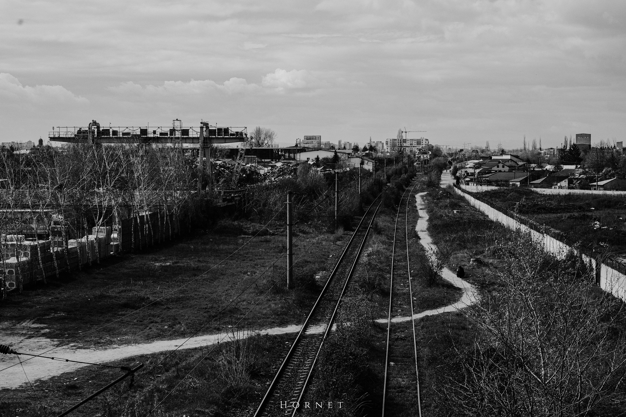 12.04.2025 Ploiesti | Romania. Hornetart