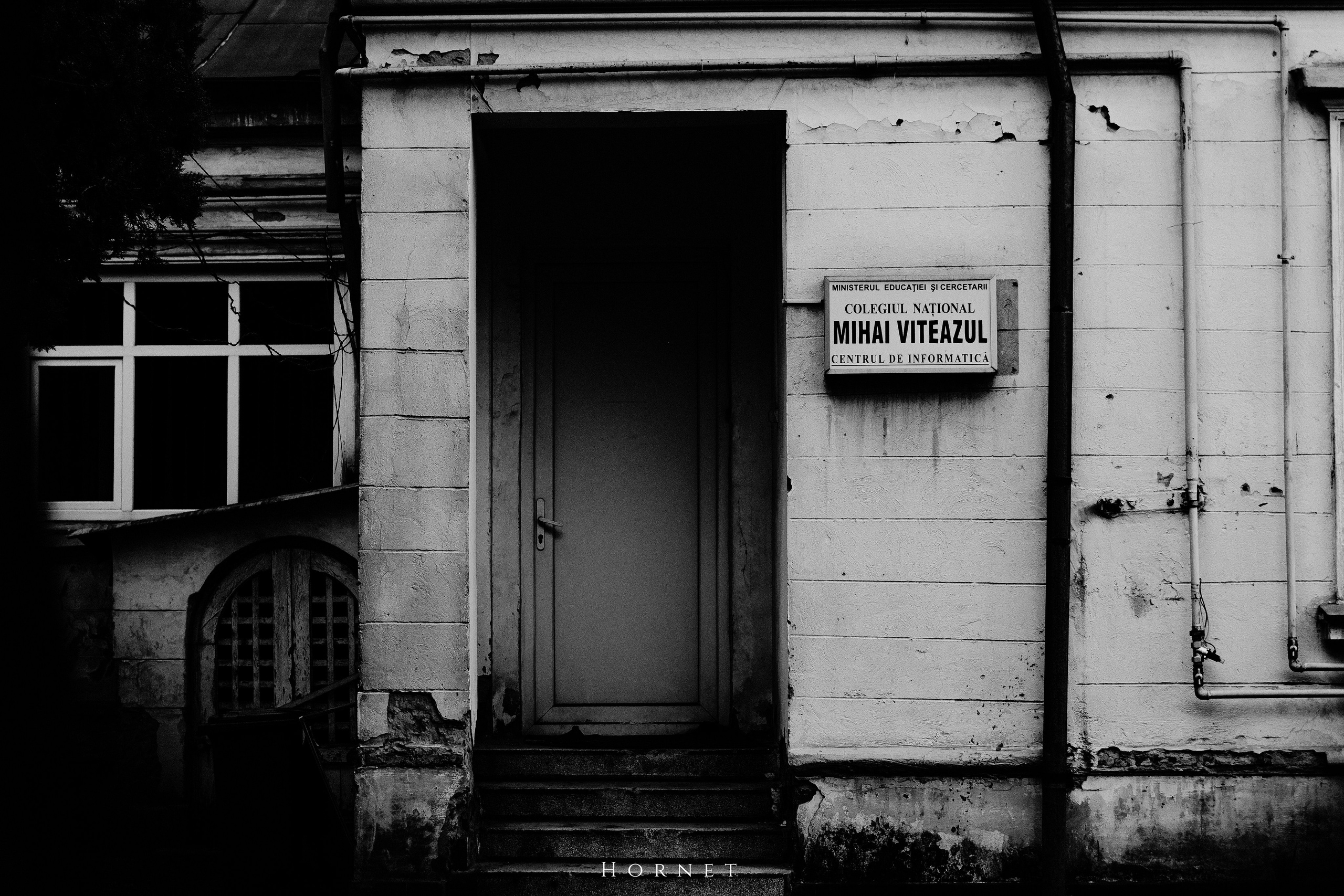 5.04.2025 Ploiesti | Romania. Hornetart