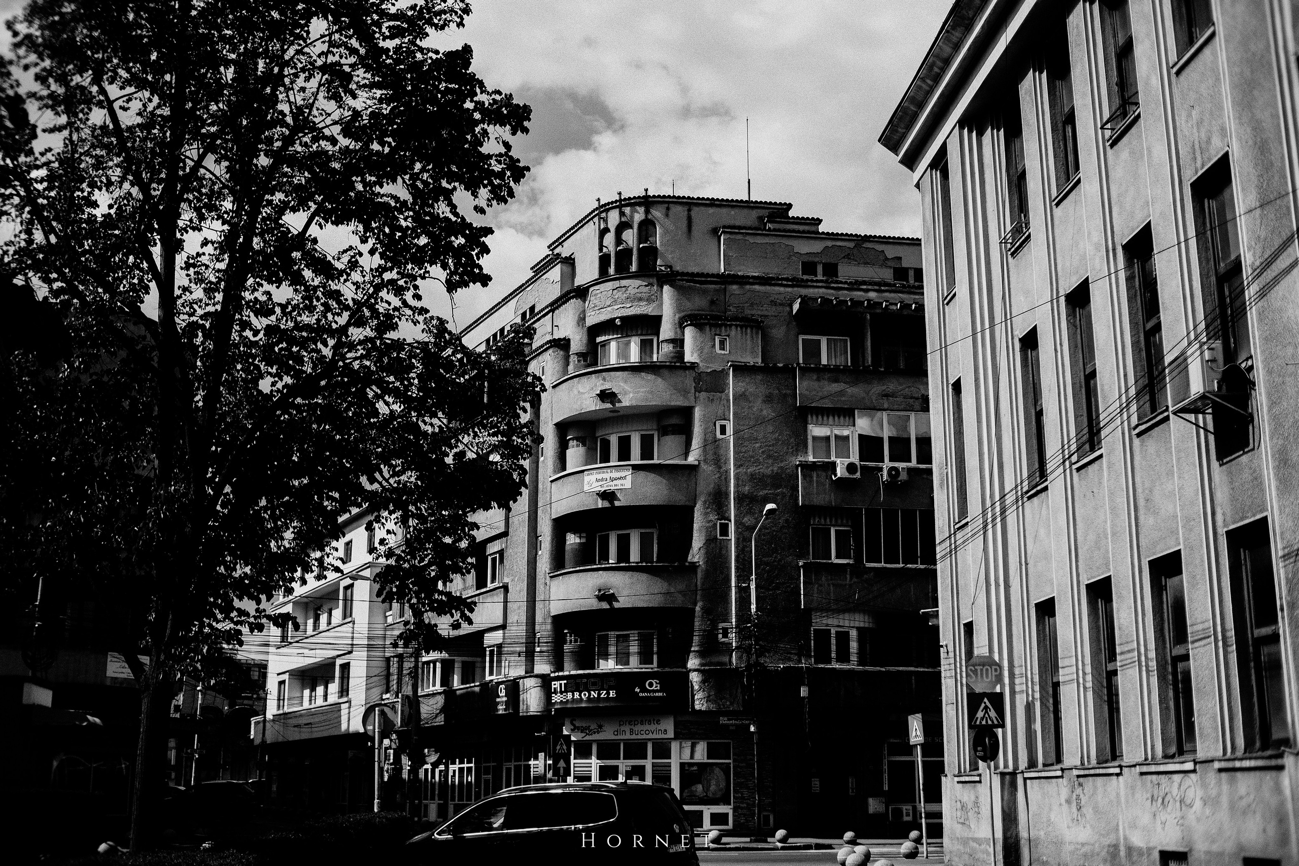 21.04.2025 Ploiesti | Romania. Hornetart