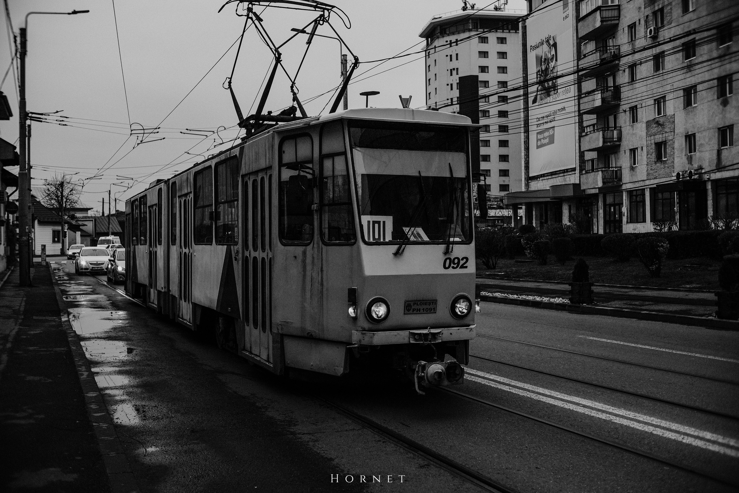 29.03.2025 Ploiesti | Romania. Hornetart