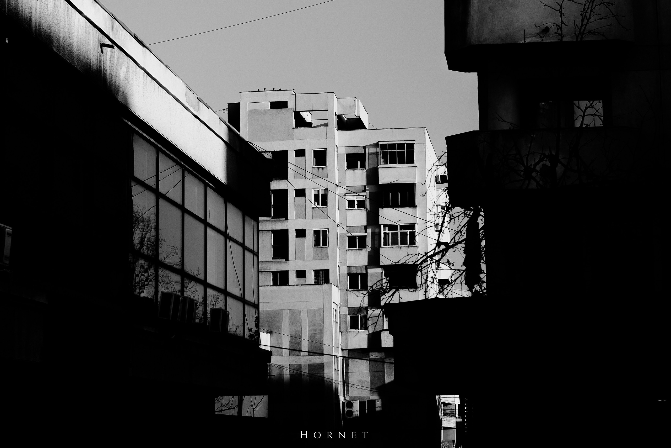 7.02.2025 Ploiesti | Romania. Hornetart
