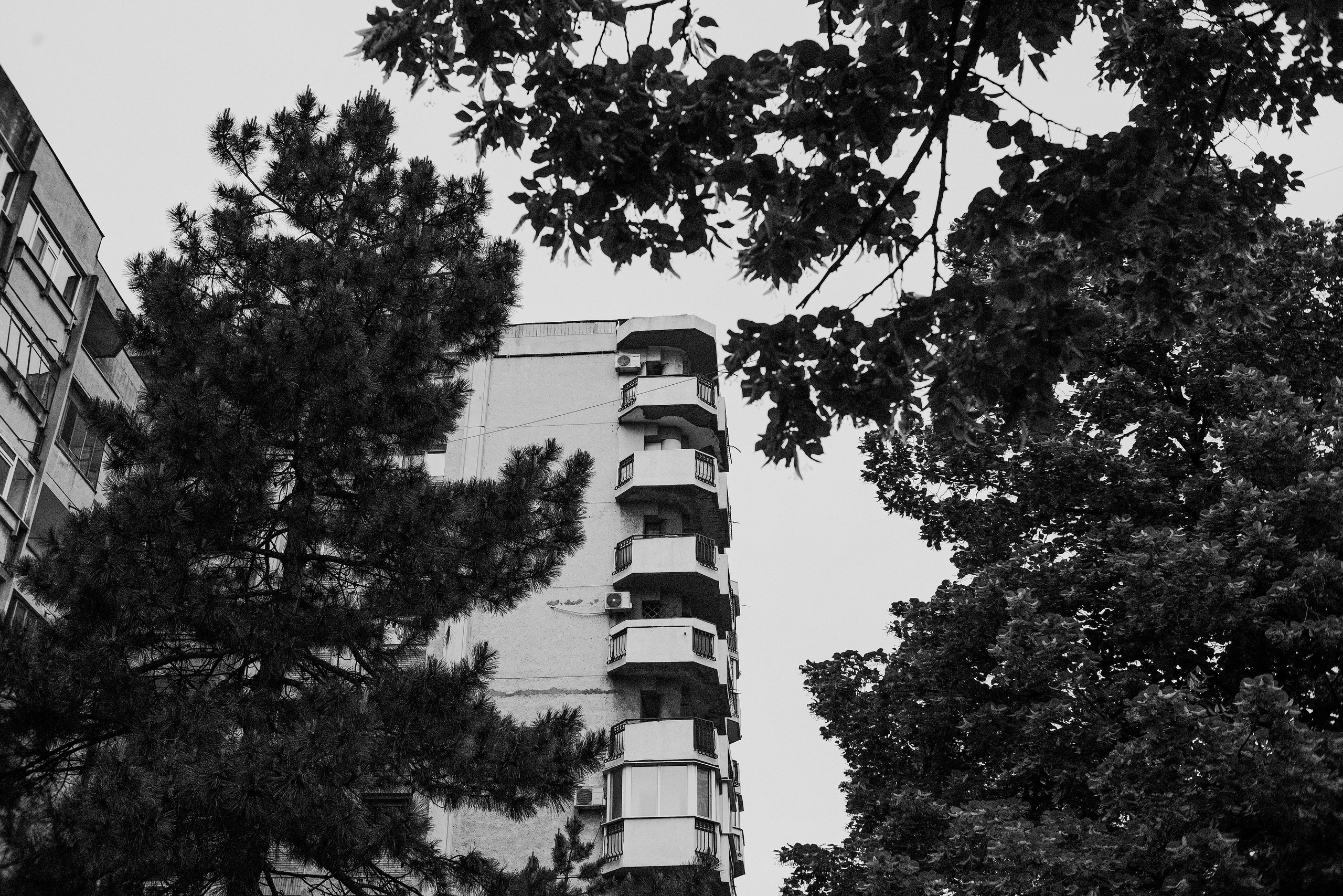 10.05.2025 Ploiesti | Romania. Hornetart