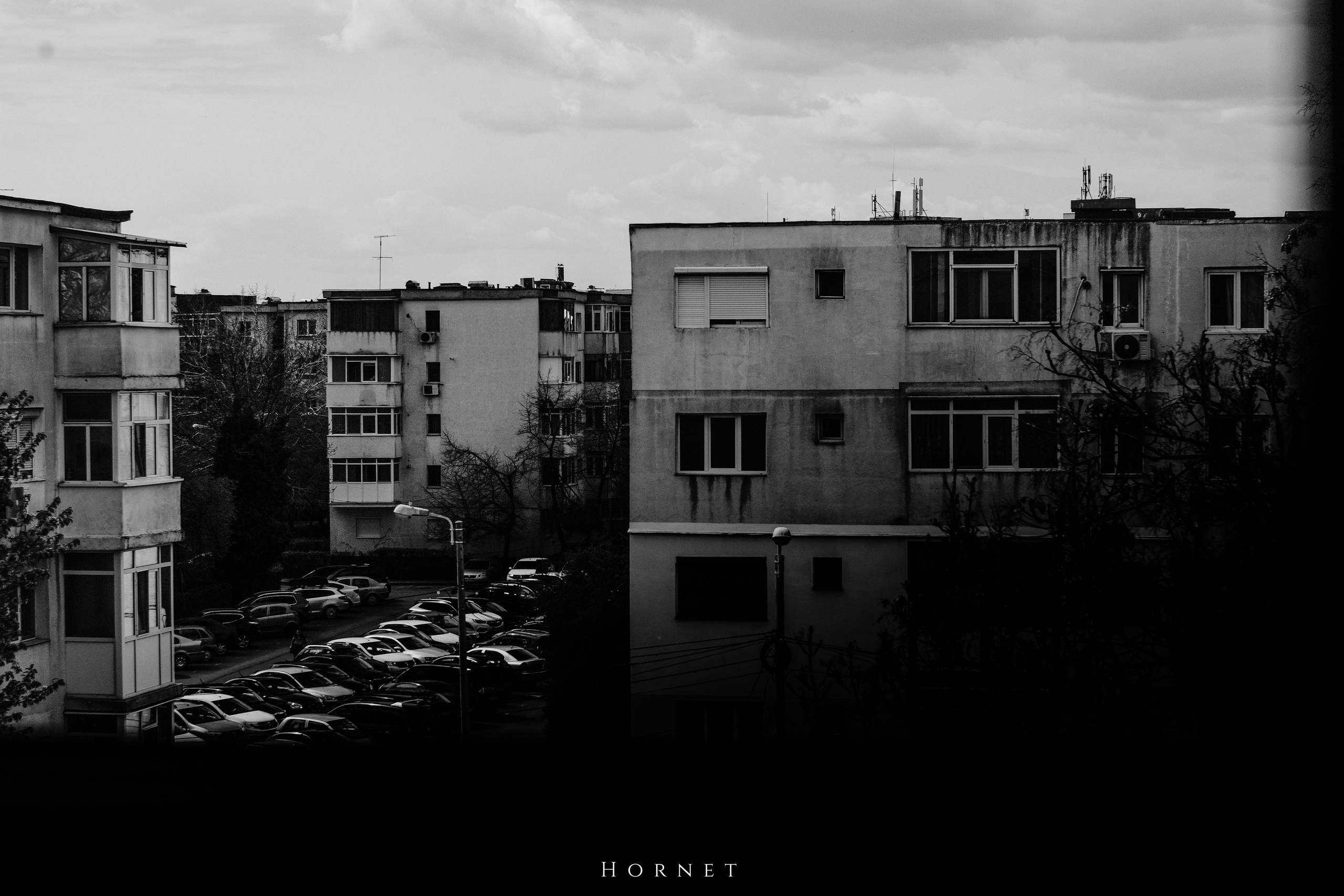 5.04.2025 Ploiesti | Romania. Hornetart