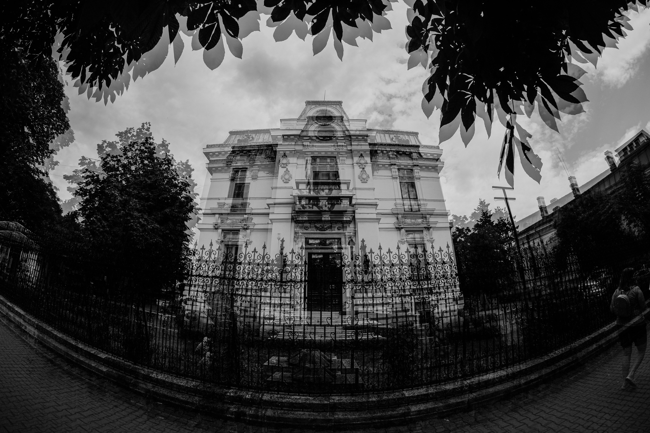19.07.2025 Ploiesti | Romania. Hornetart