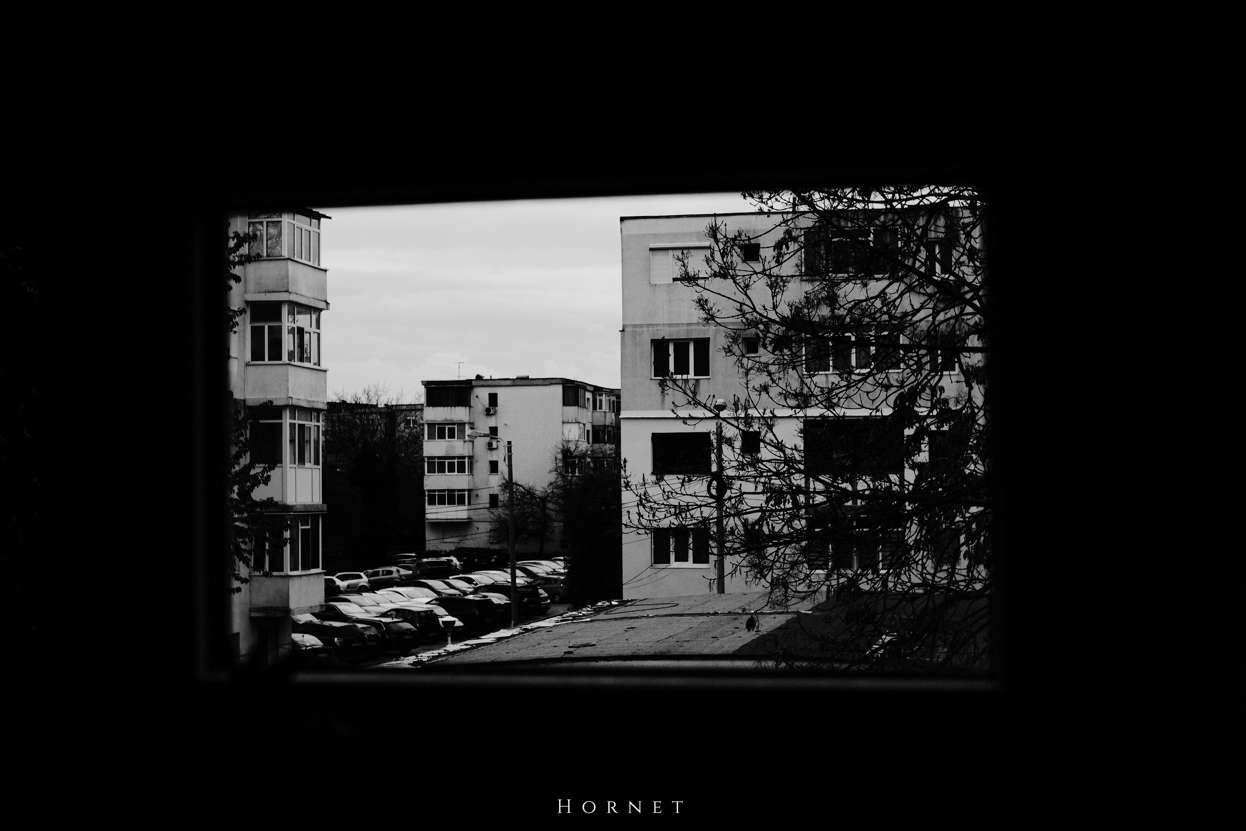 12.04.2025 Ploiesti | Romania. Hornetart