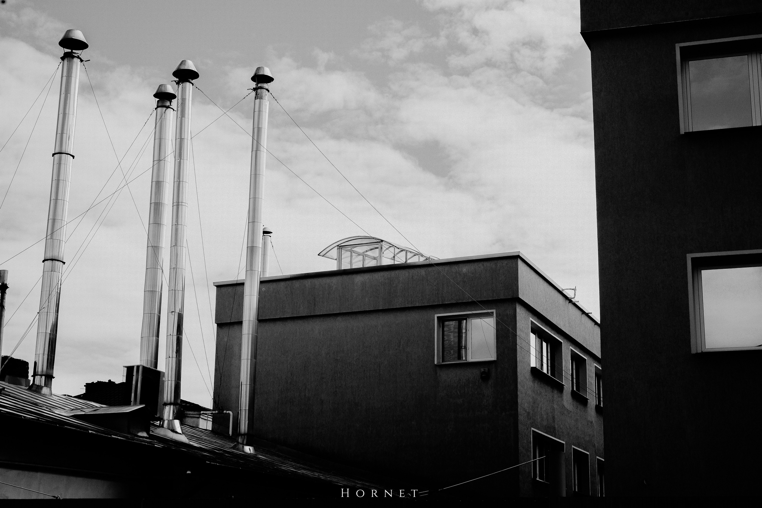 12.04.2025 Ploiesti | Romania. Hornetart