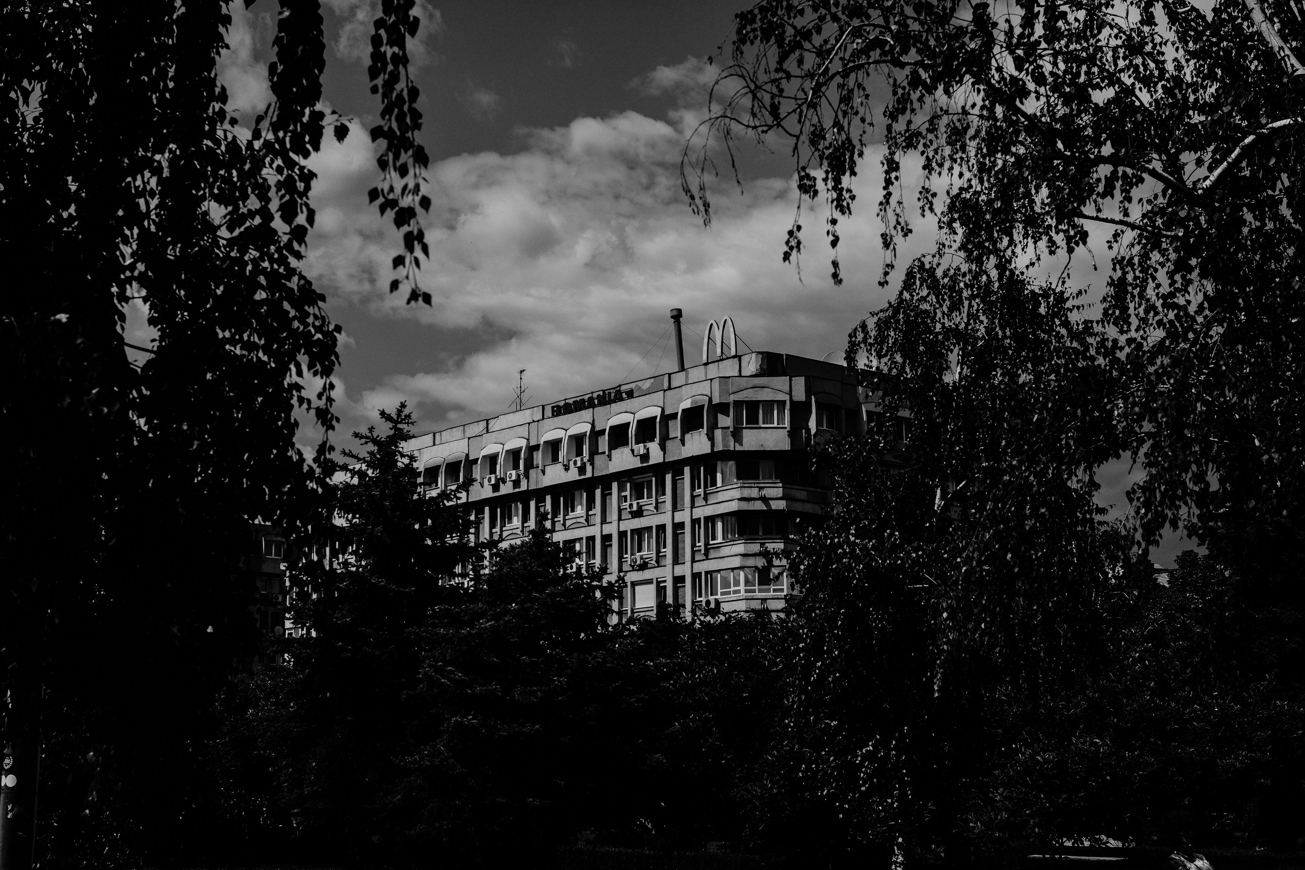 21.06.2025 Ploiesti | Romania. Hornetart