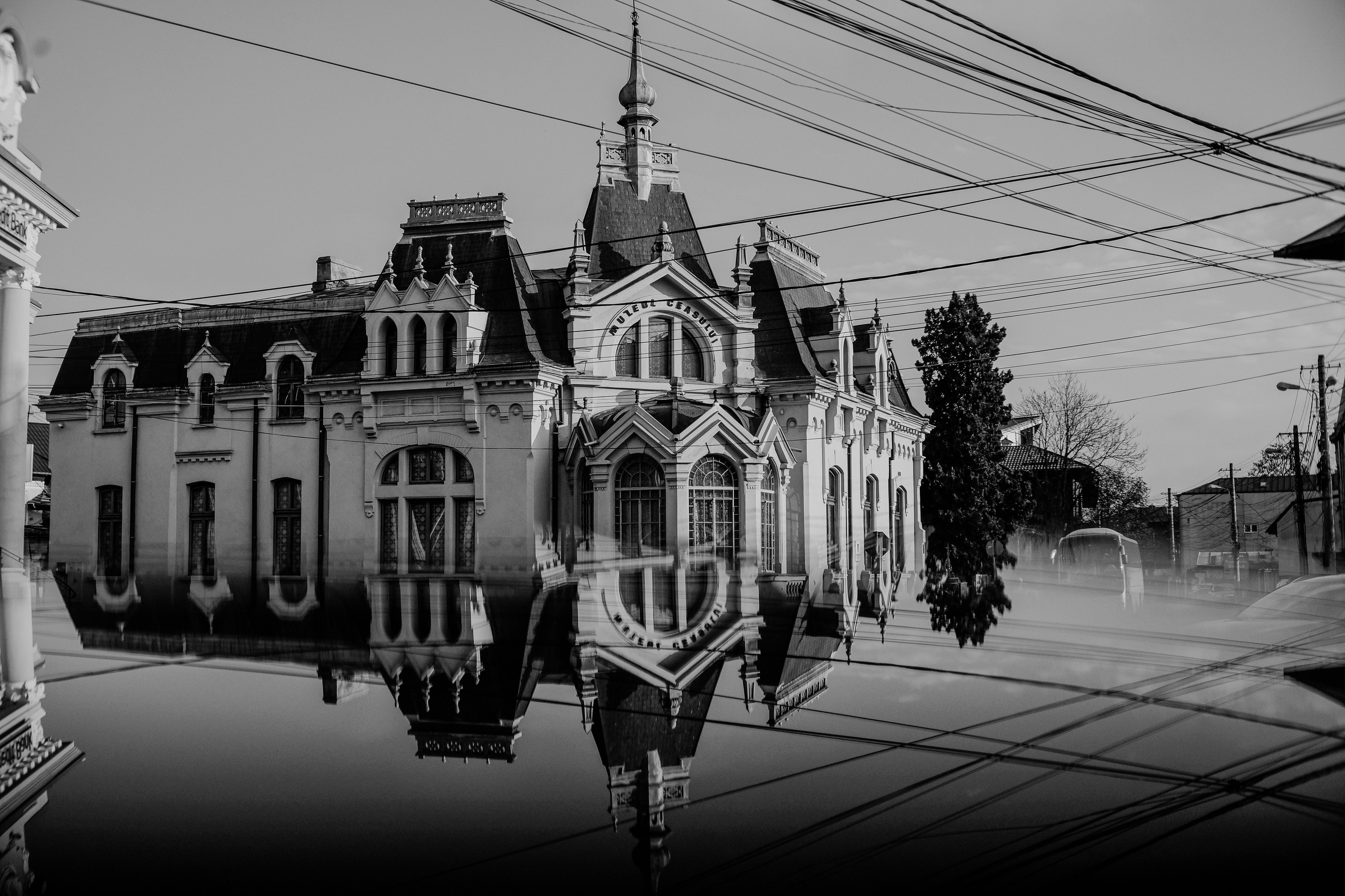 22.11.2025 Ploiesti | Romania. Hornetart