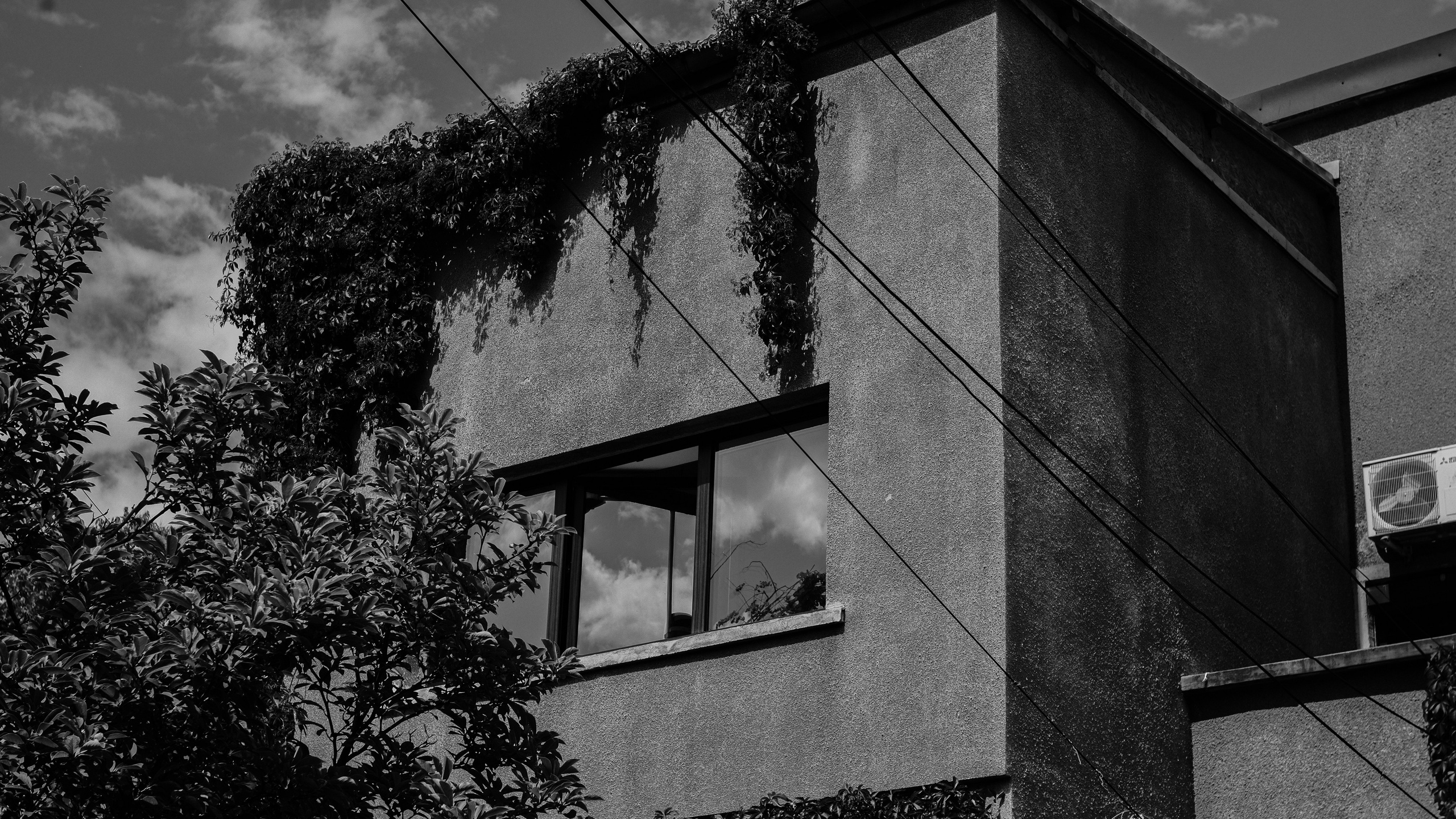 21.06.2025 Ploiesti | Romania. Hornetart