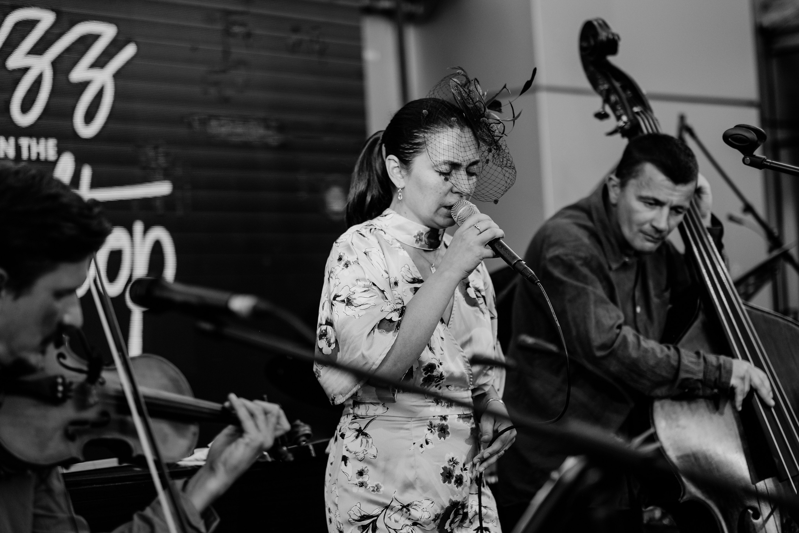 Luiza Zan & Jazzpar Trio. Hornetart