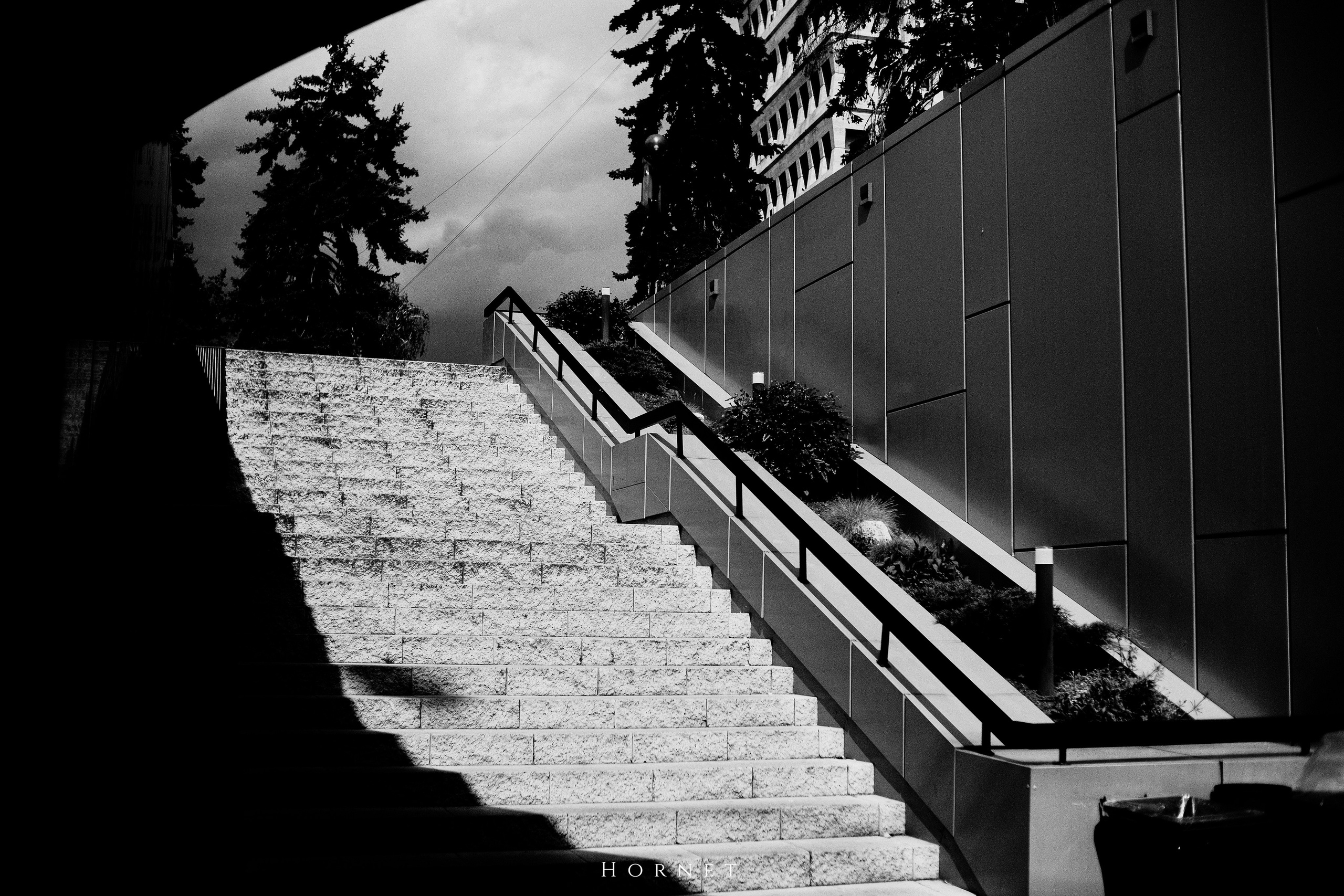 21.04.2025 Ploiesti | Romania. Hornetart