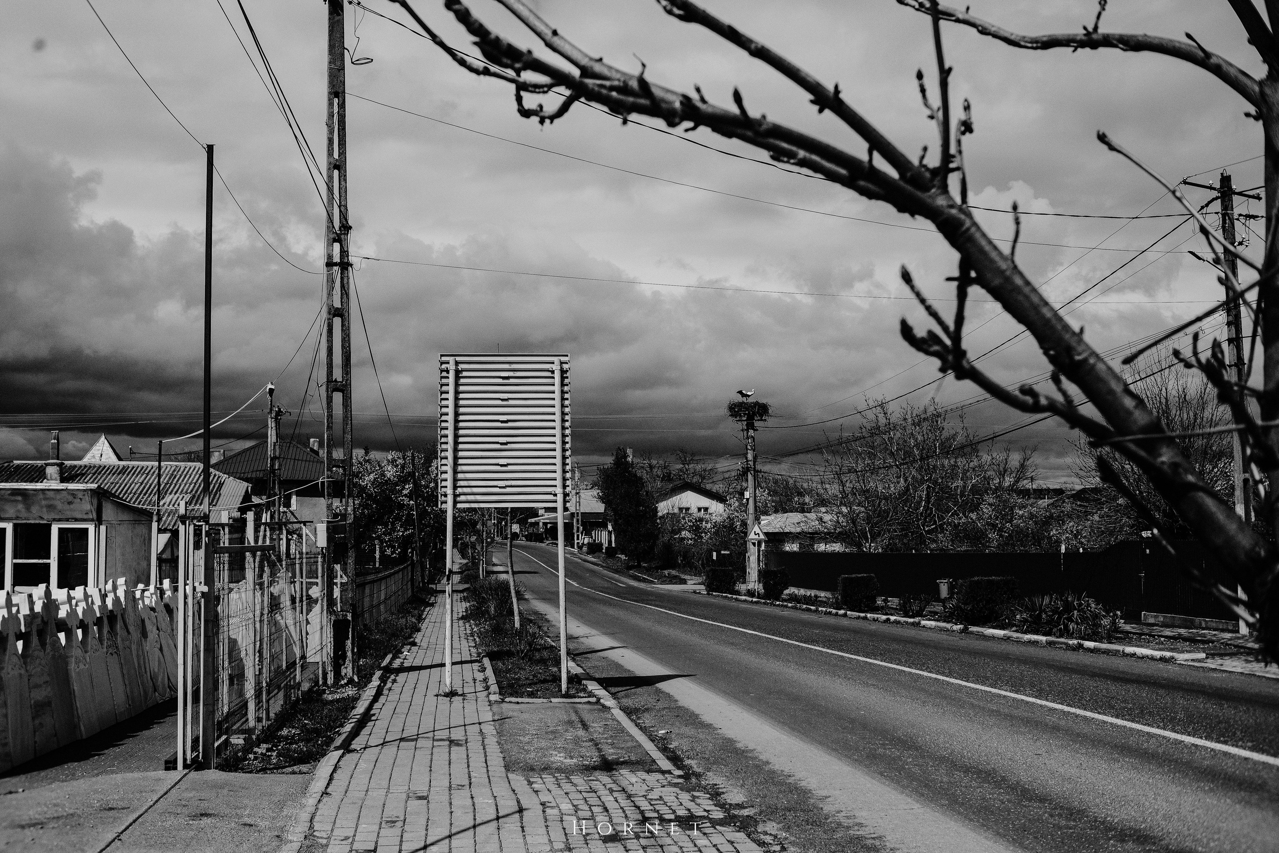 30.03.2025 Buzau | Romania. Hornetart