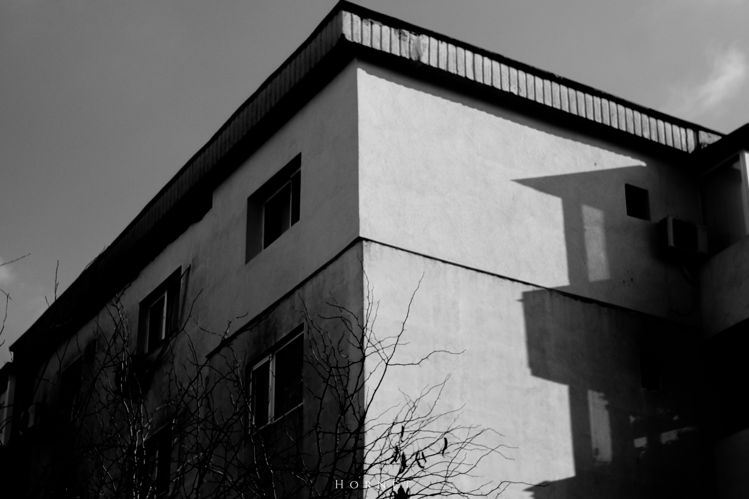 7.02.2025 Ploiesti | Romania. Hornetart