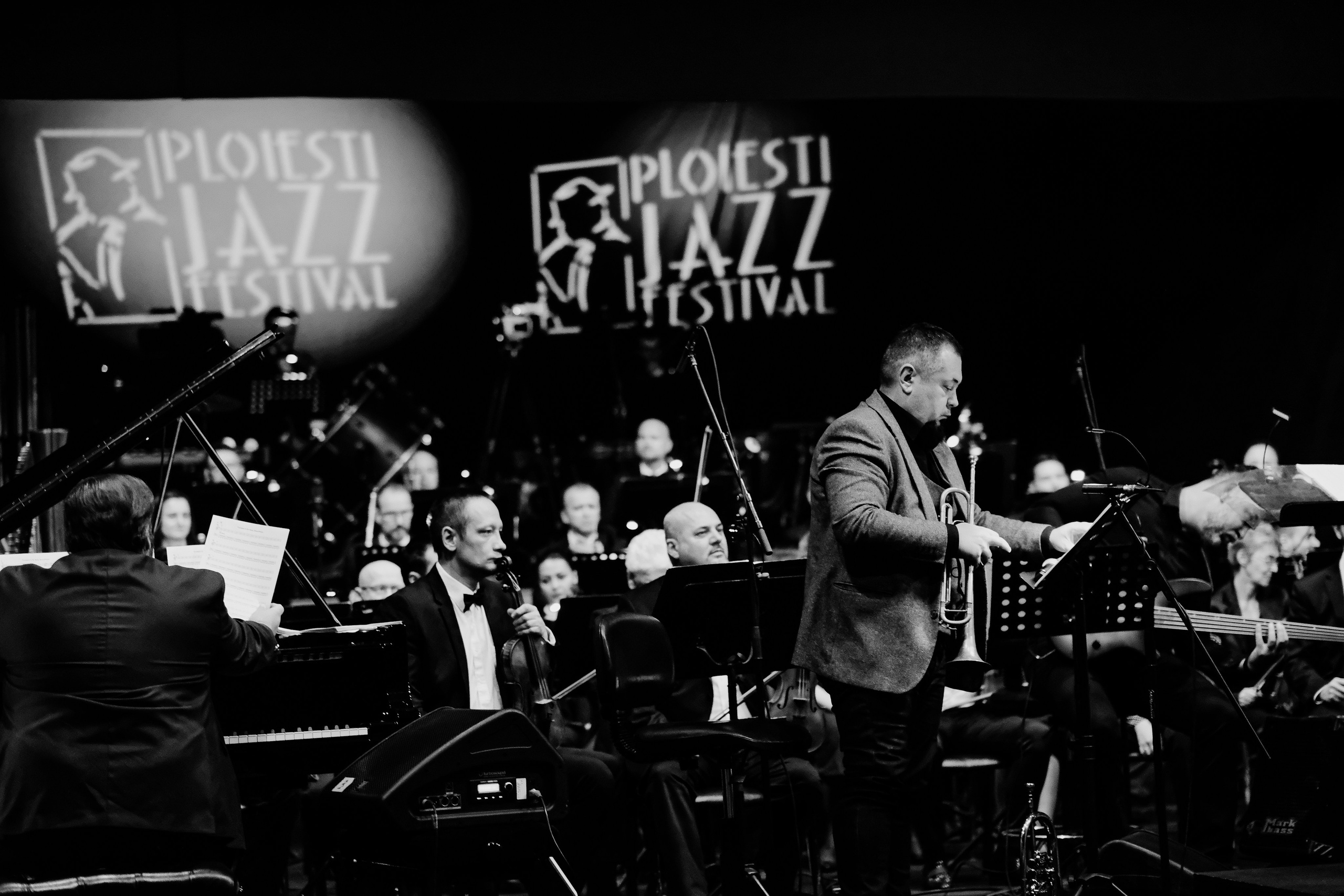 Sebastian Burneci & Simona Strungaru. Hornetart
