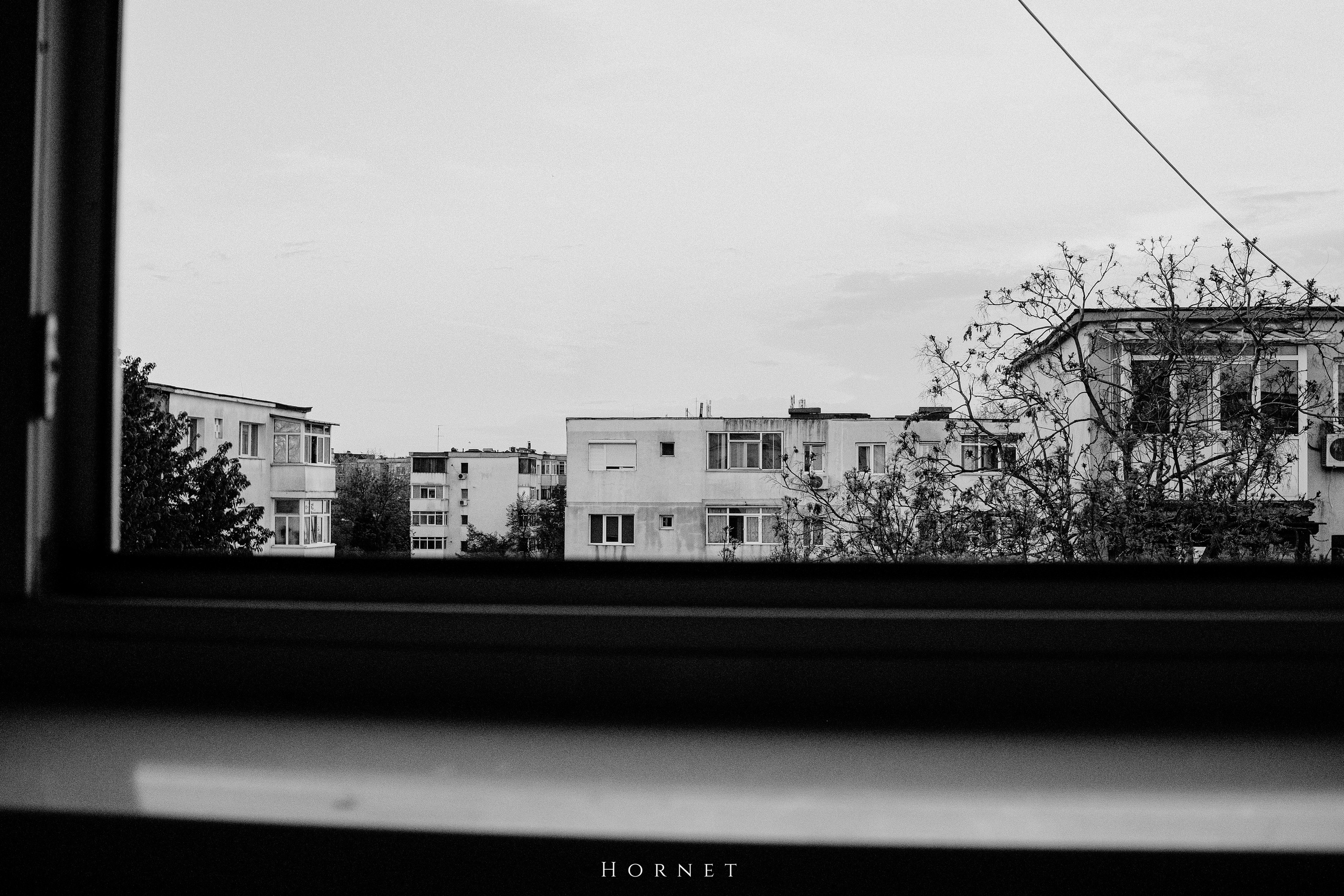 21.04.2025 Ploiesti | Romania. Hornetart