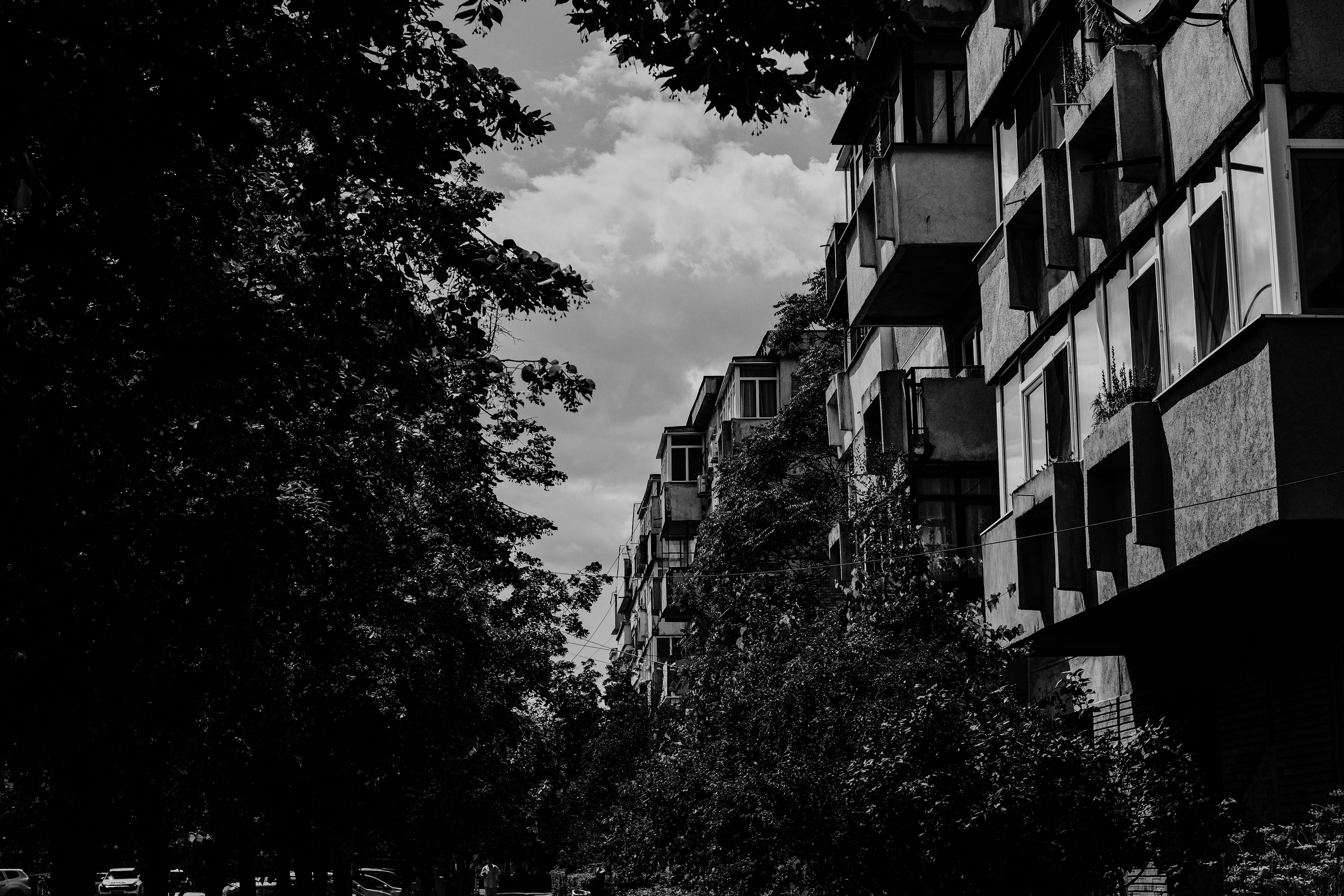 21.06.2025 Ploiesti | Romania. Hornetart