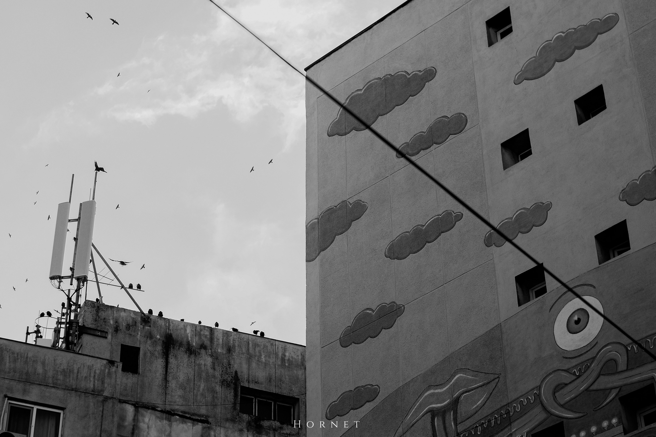 7.02.2025 Ploiesti | Romania. Hornetart