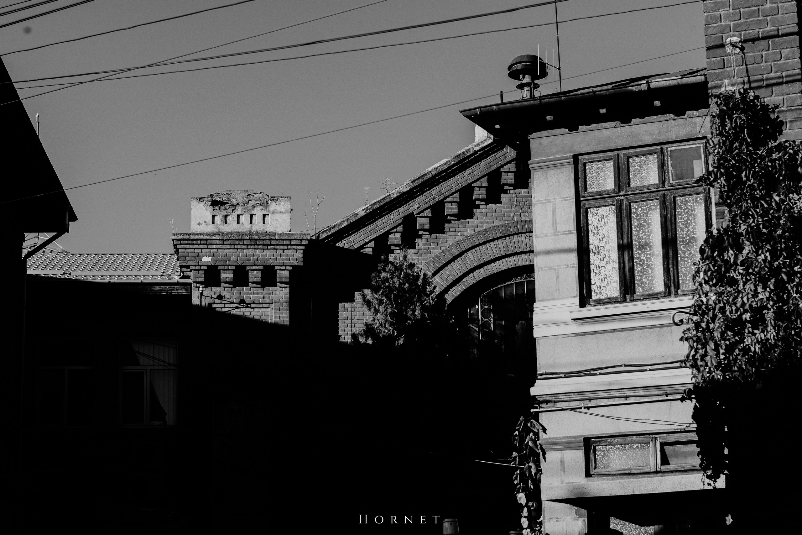 2.11.2025 Ploiesti | Romania. Hornetart