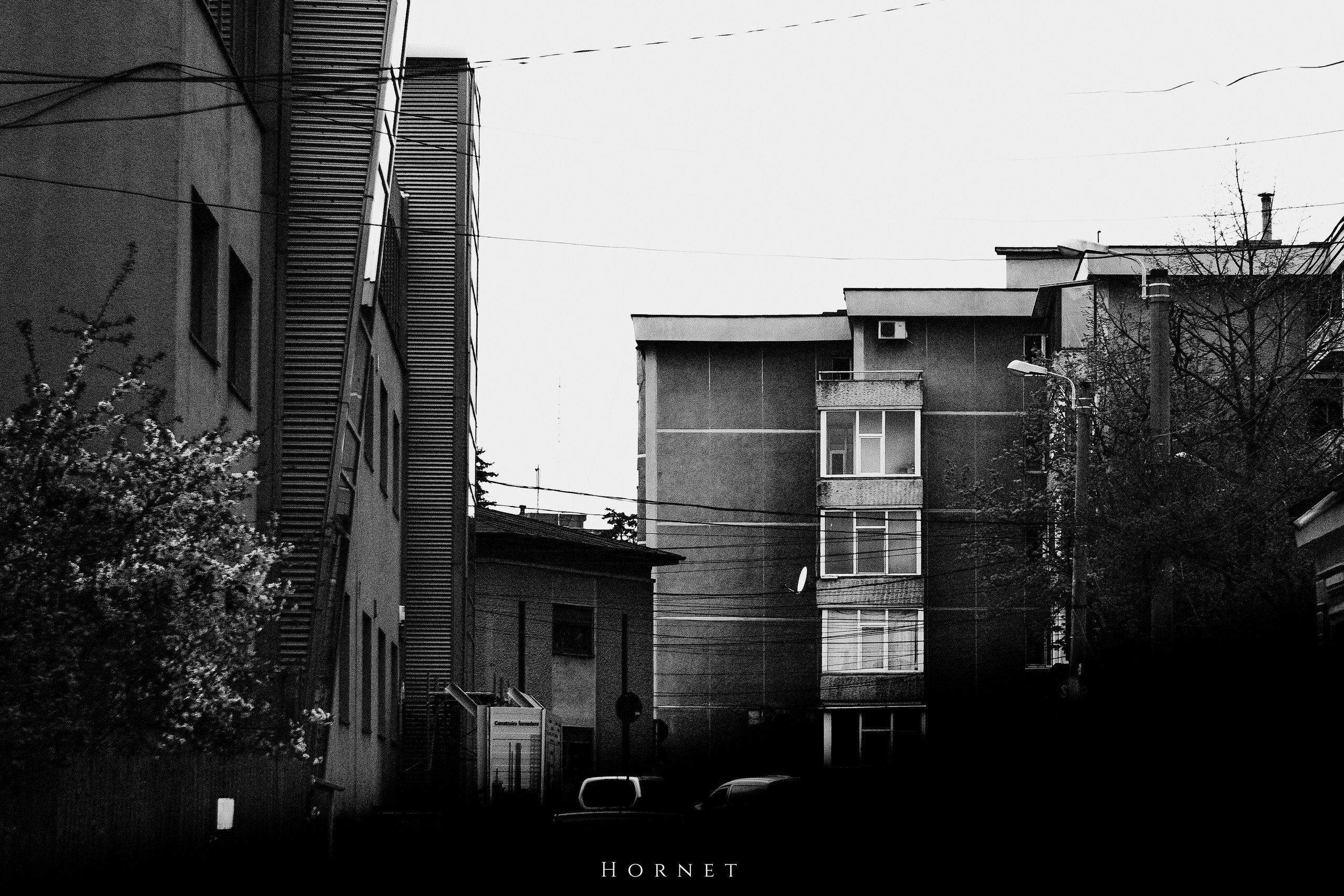 5.04.2025 Ploiesti | Romania. Hornetart
