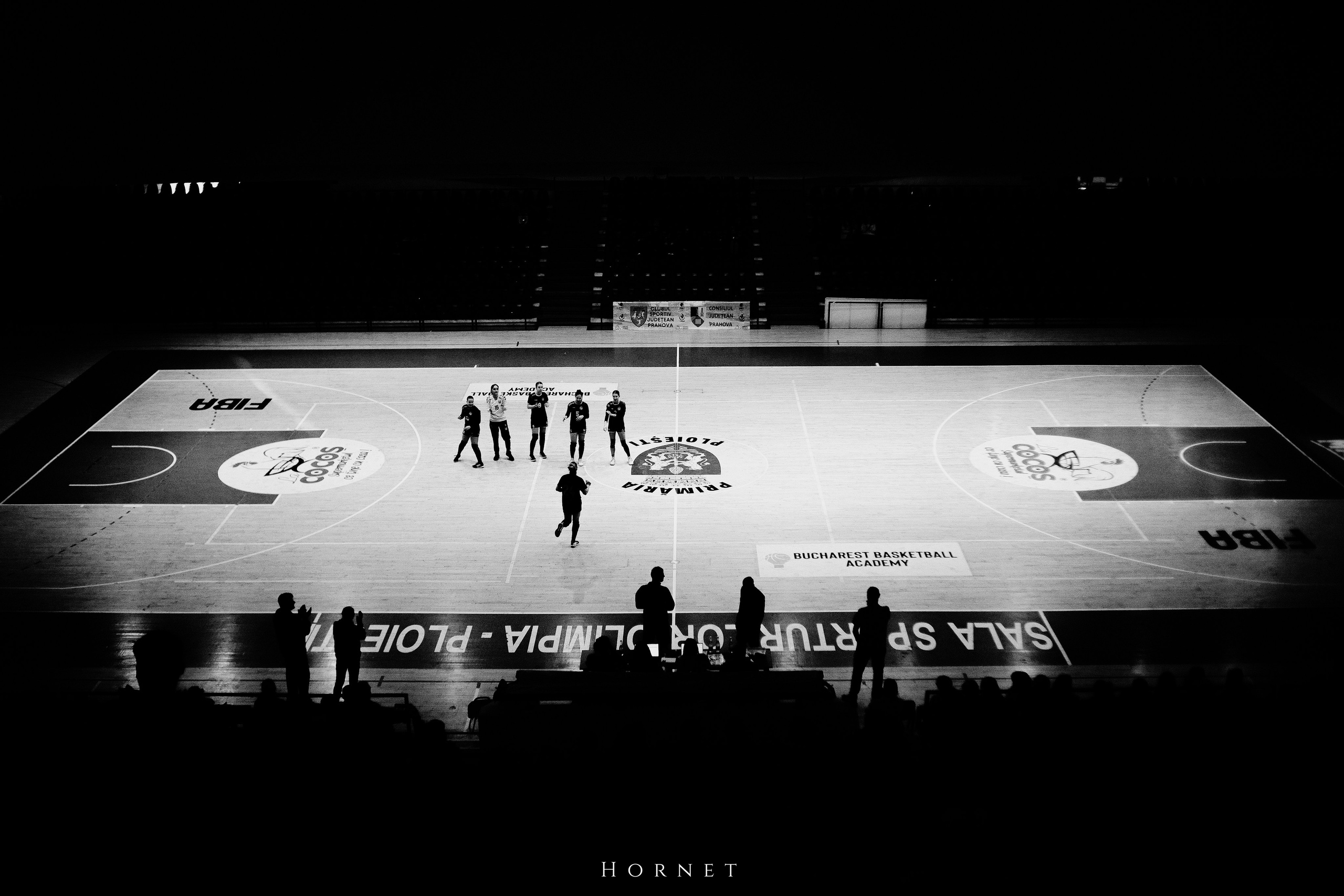 12.01.2025 Ploiesti | Romania. Hornetart