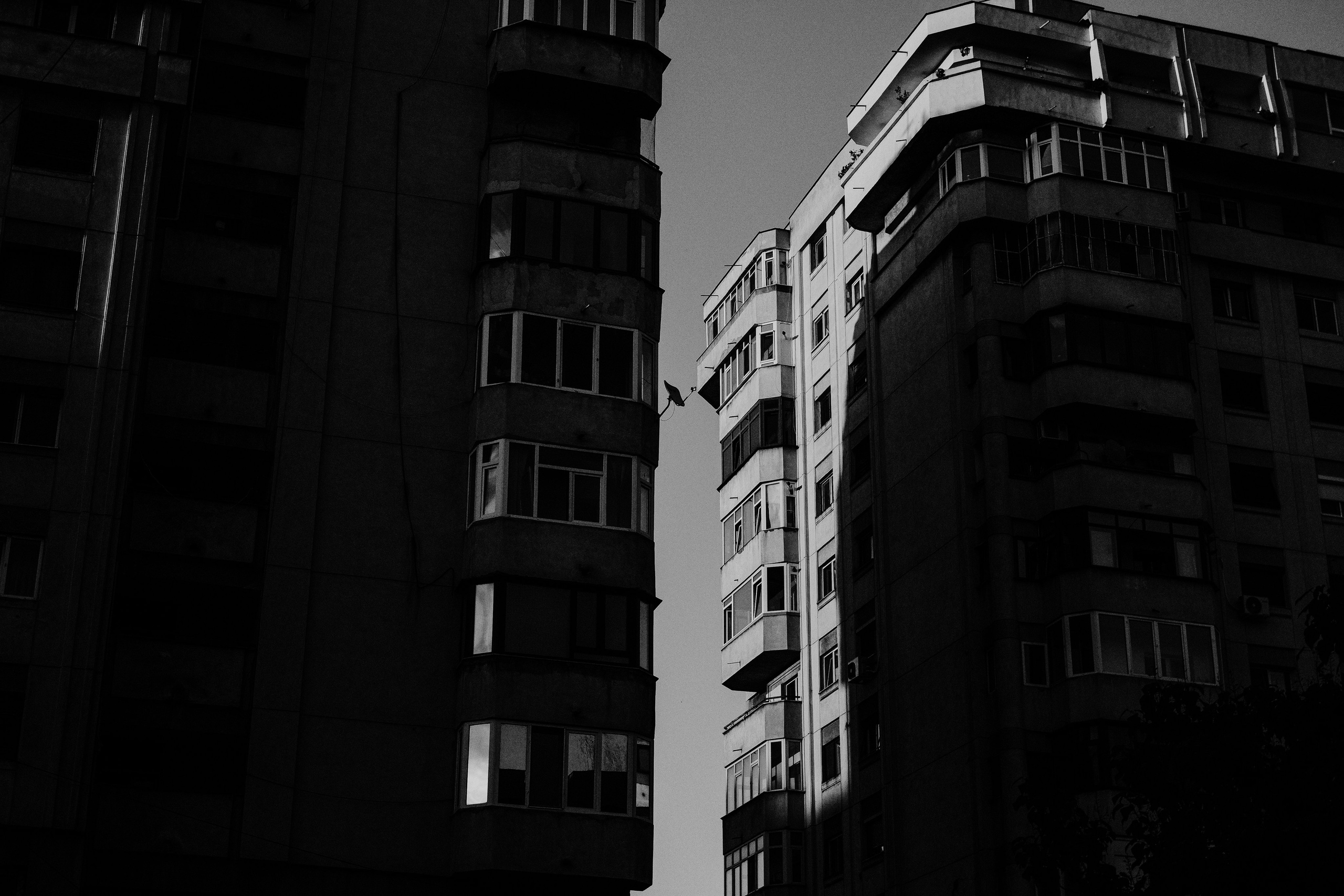 21.06.2025 Ploiesti | Romania. Hornetart