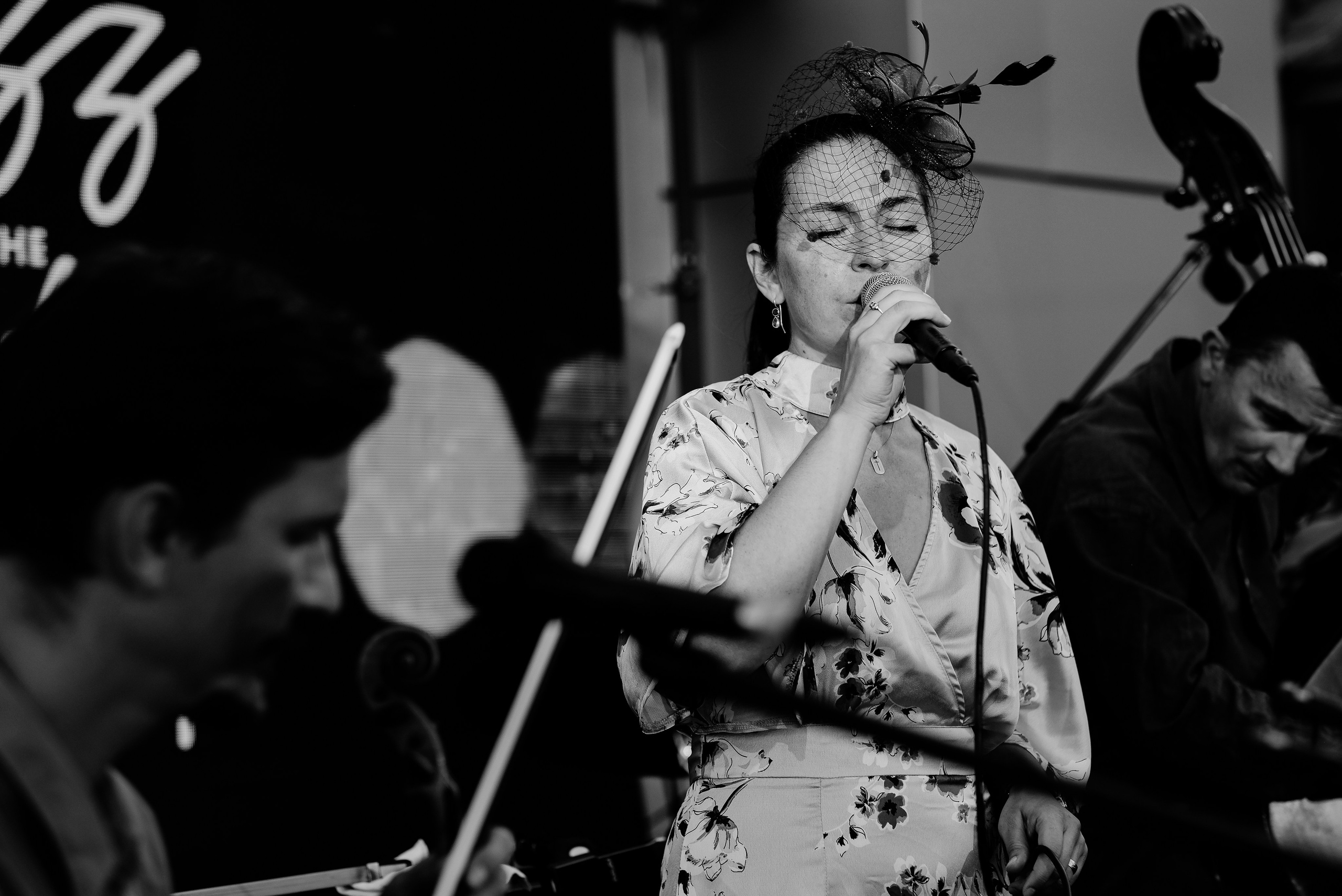Luiza Zan & Jazzpar Trio. Hornetart