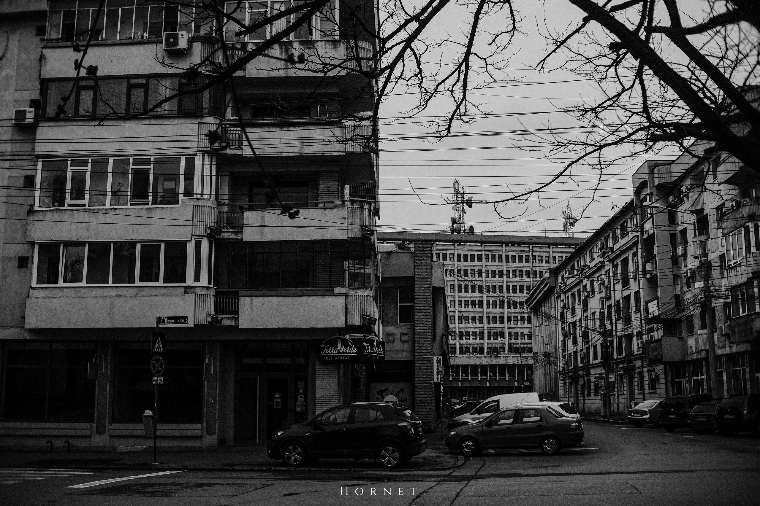 29.03.2025 Ploiesti | Romania. Hornetart