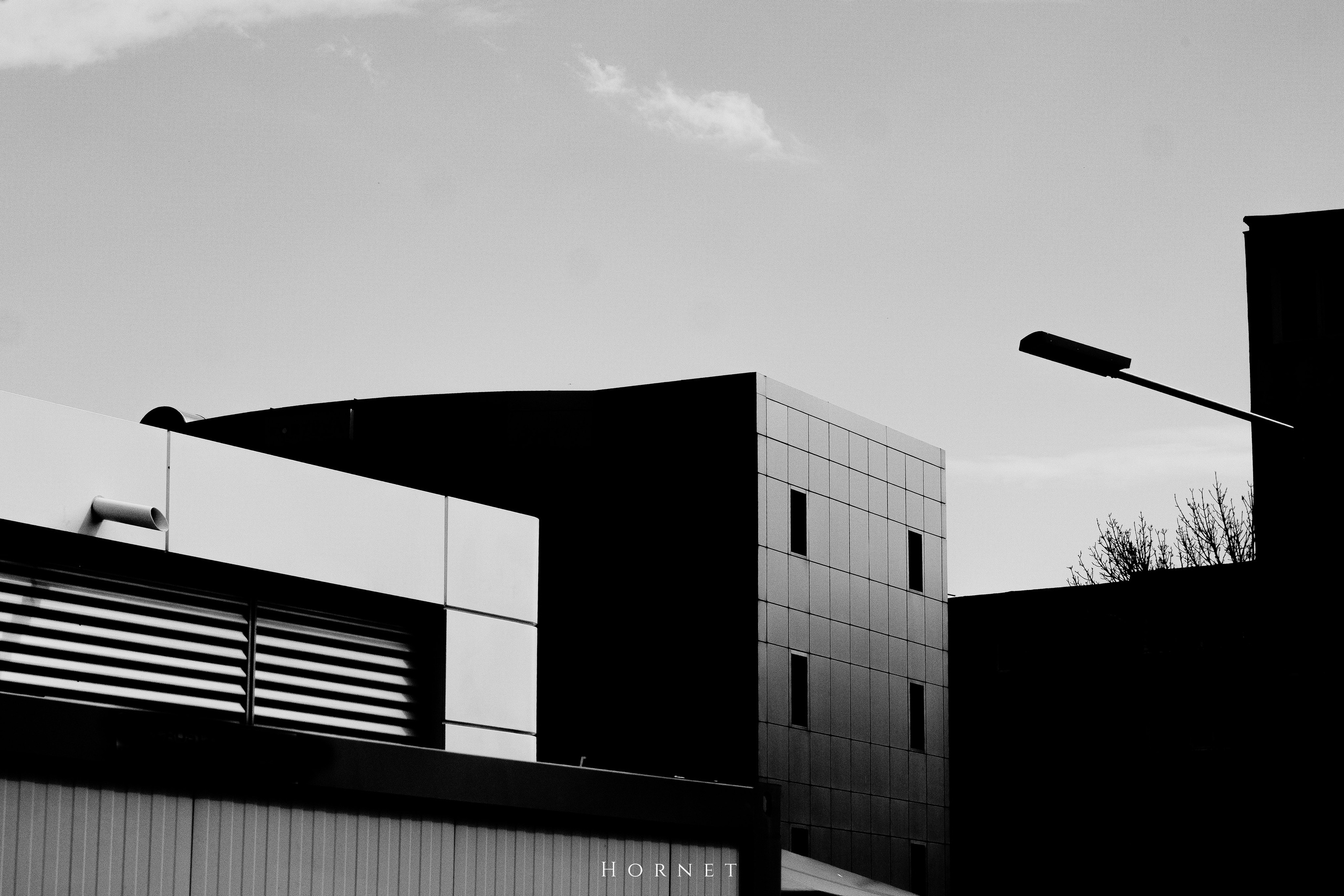 5.04.2025 Ploiesti | Romania. Hornetart