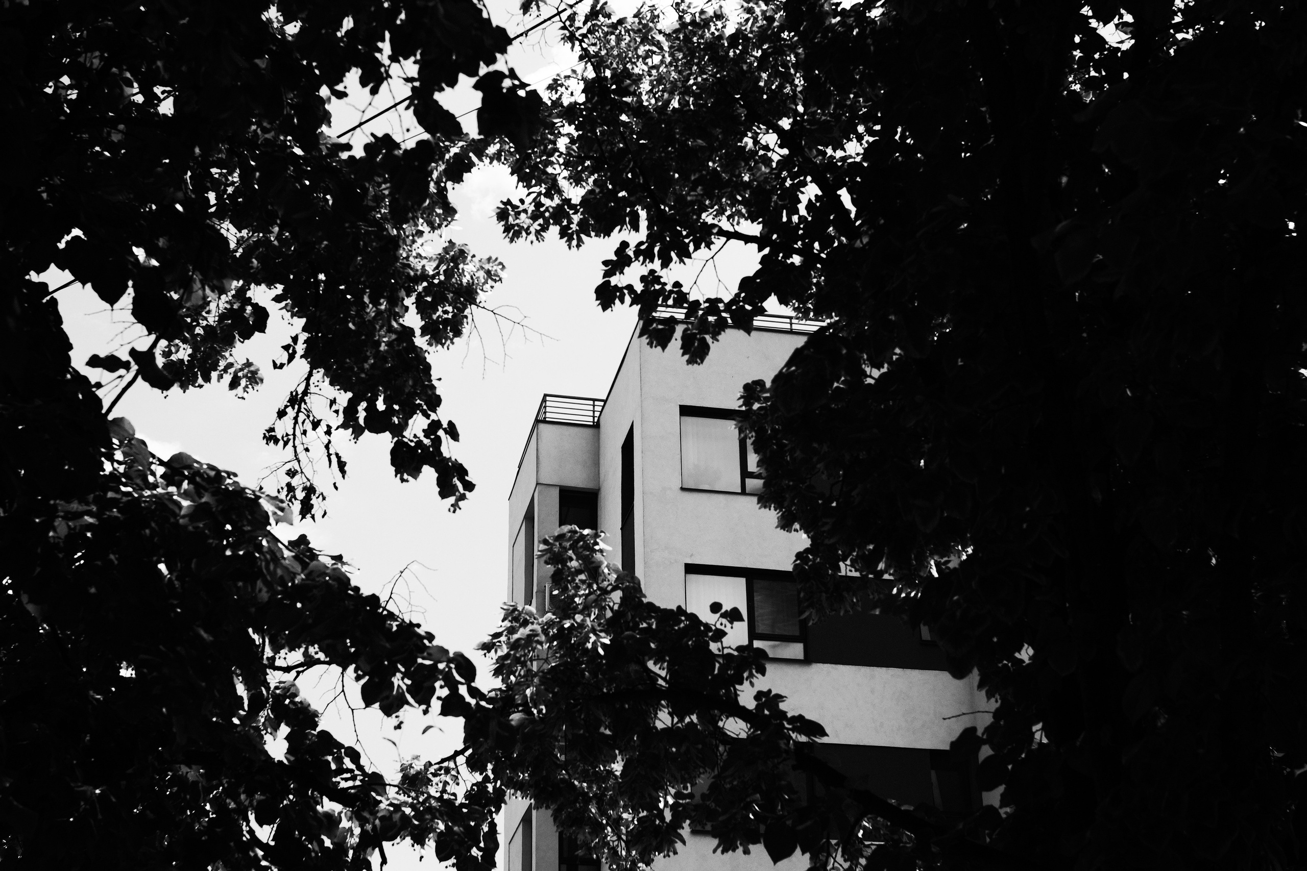 21.06.2025 Ploiesti | Romania. Hornetart