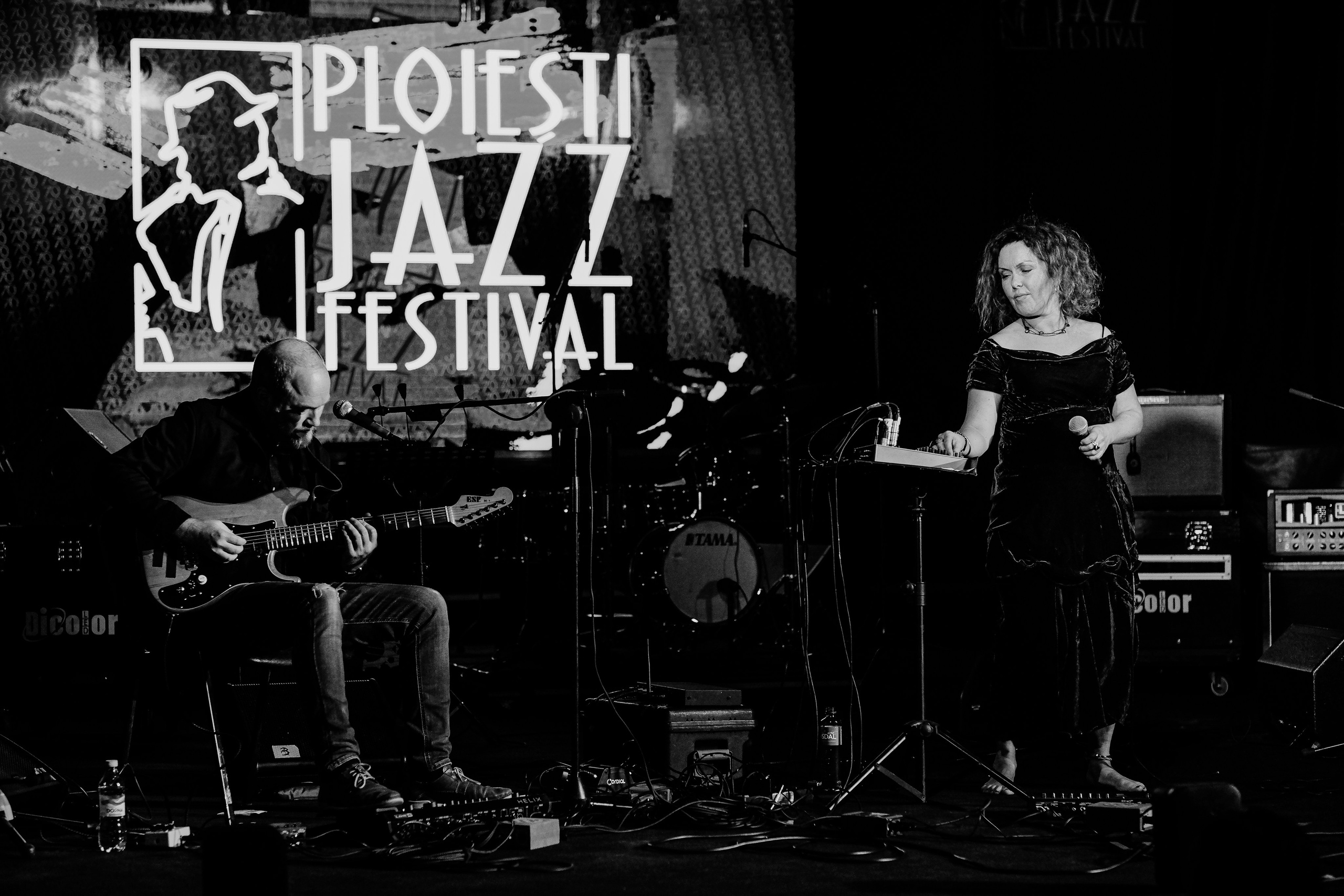 Kristin Asbjornsen Trio. Hornetart