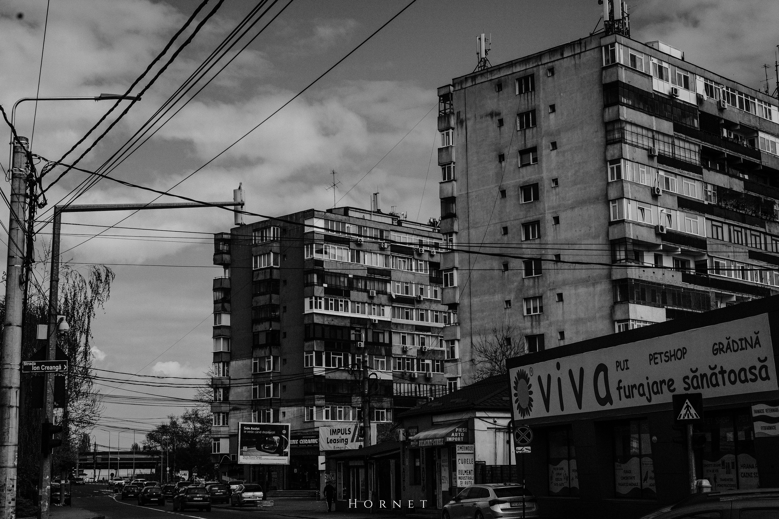 12.04.2025 Ploiesti | Romania. Hornetart
