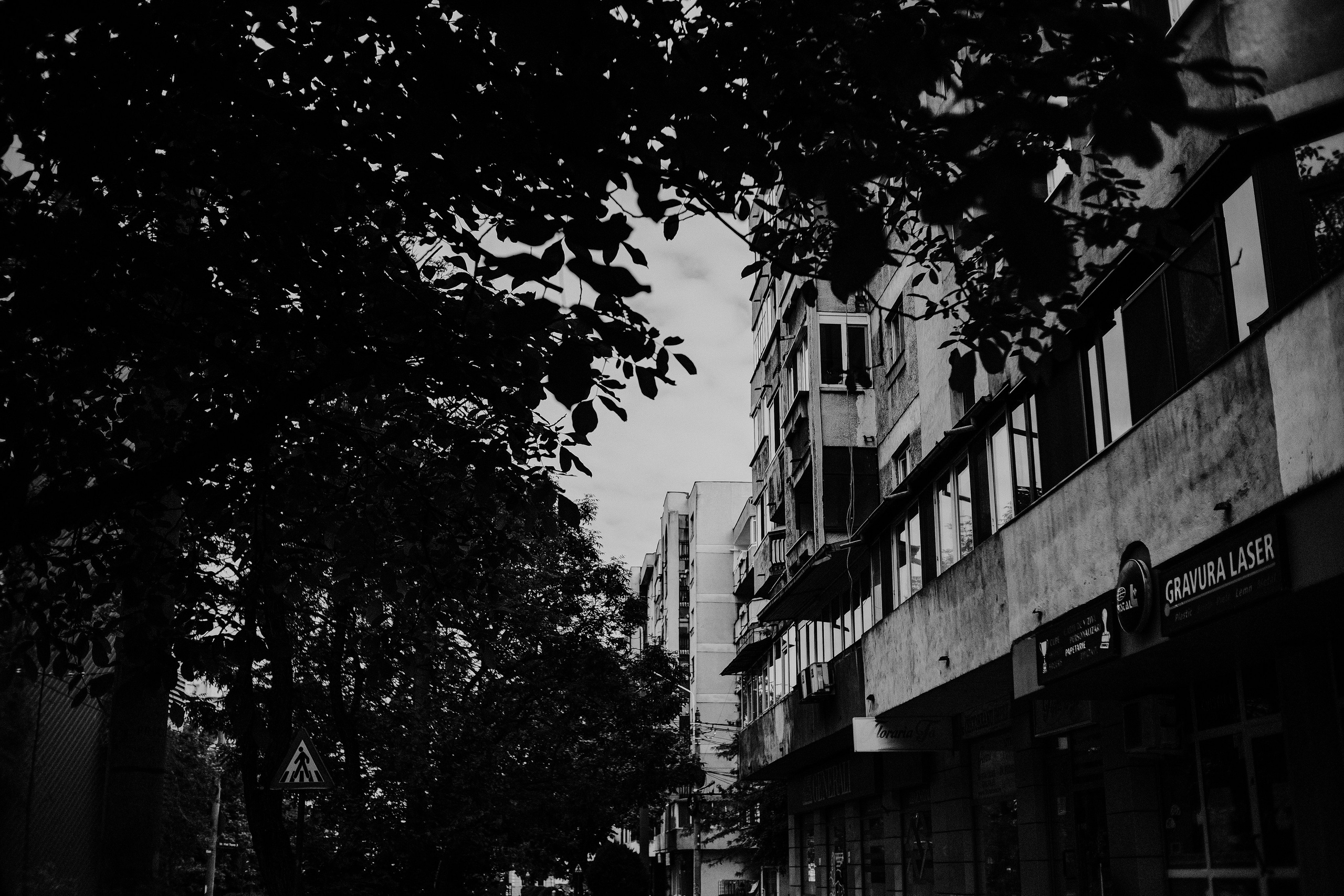 10.05.2025 Ploiesti | Romania. Hornetart