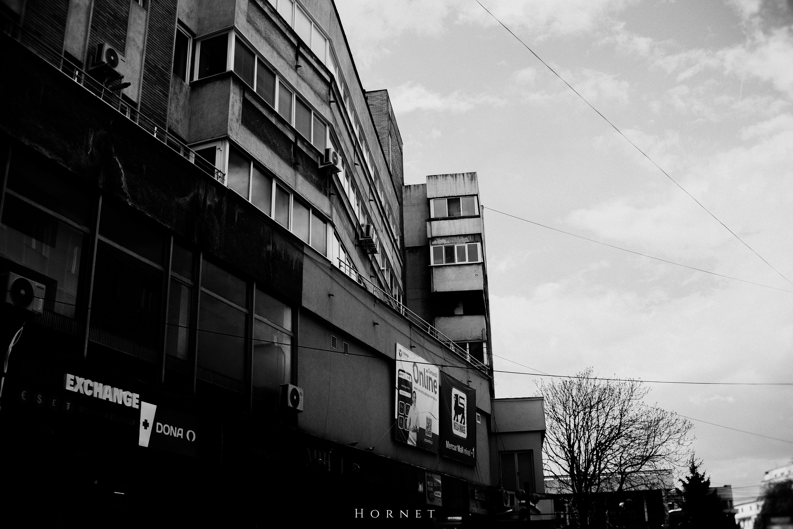 21.04.2025 Ploiesti | Romania. Hornetart