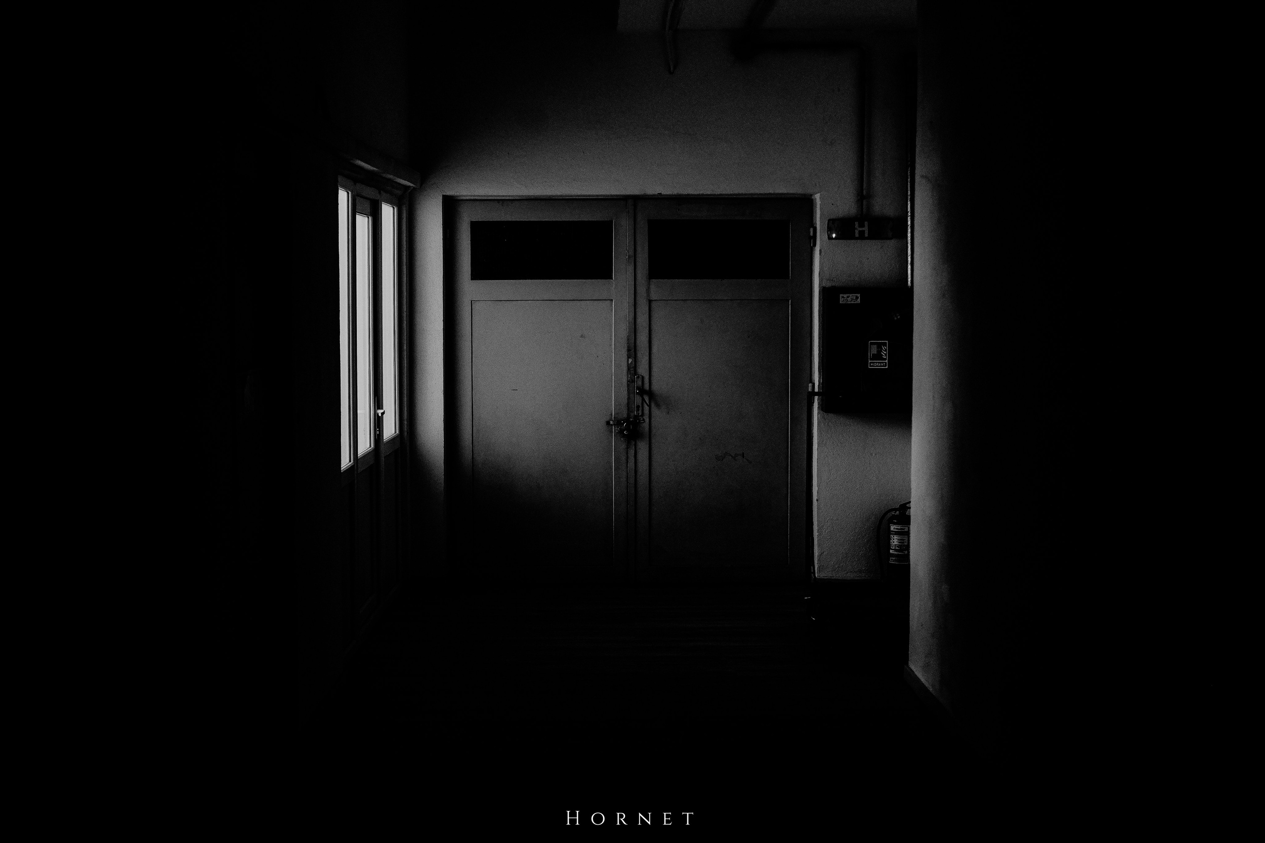 14.03.2026 Ploiesti | Romania. Hornetart