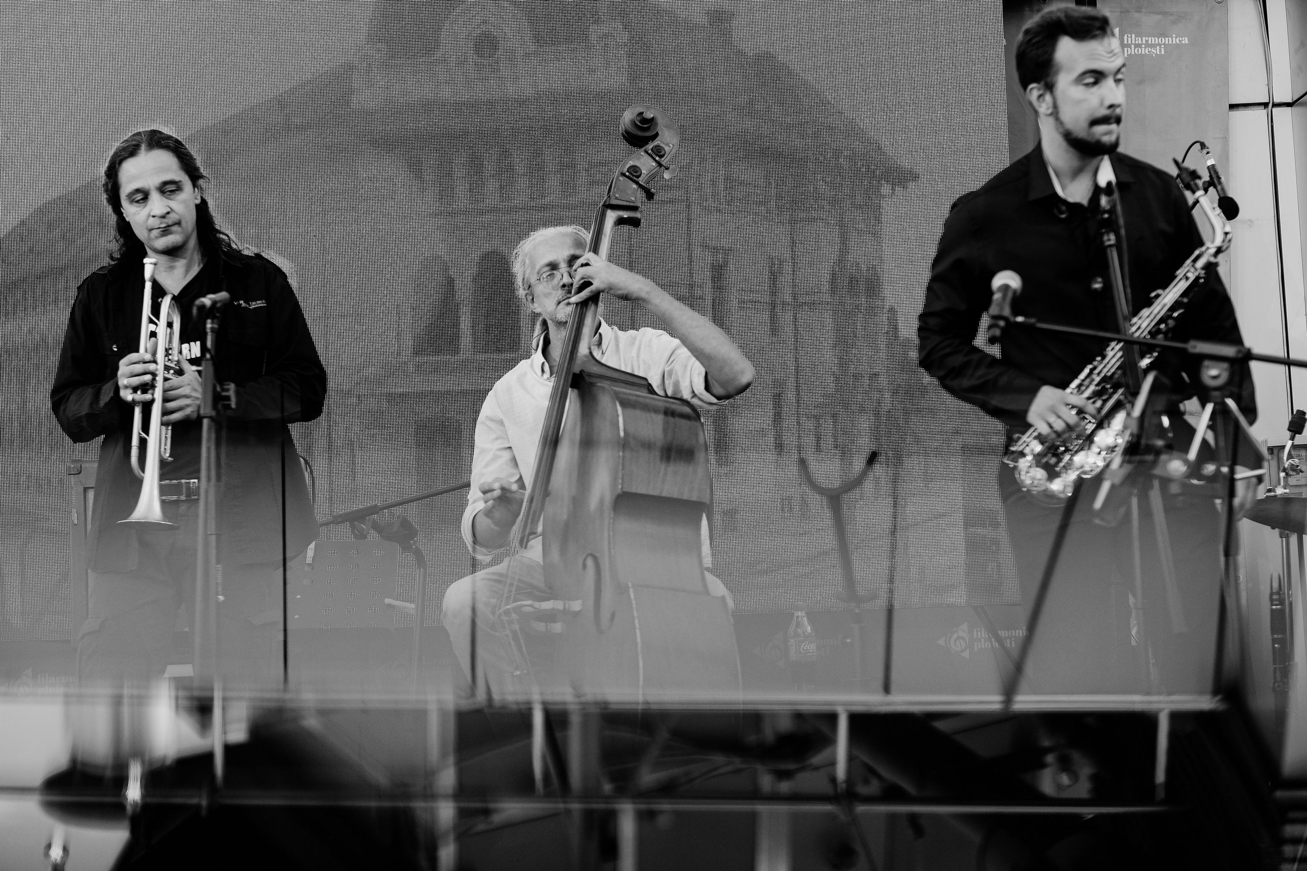 David Luca Trio. Hornetart
