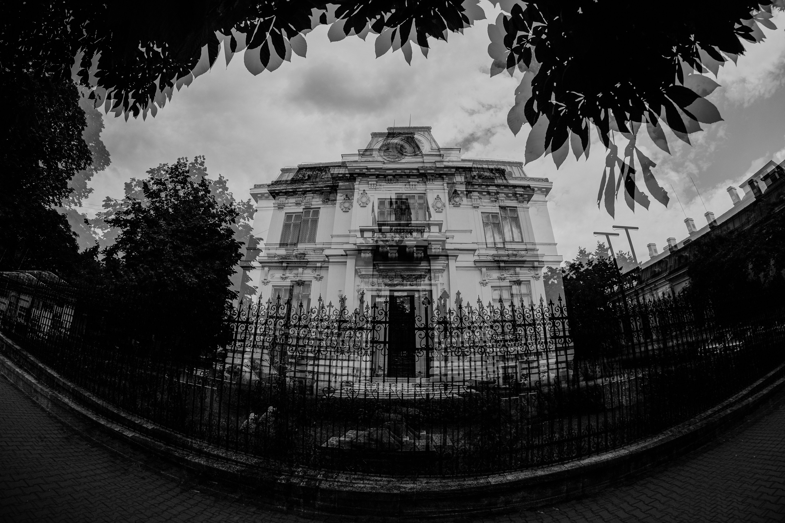 19.07.2025 Ploiesti | Romania. Hornetart