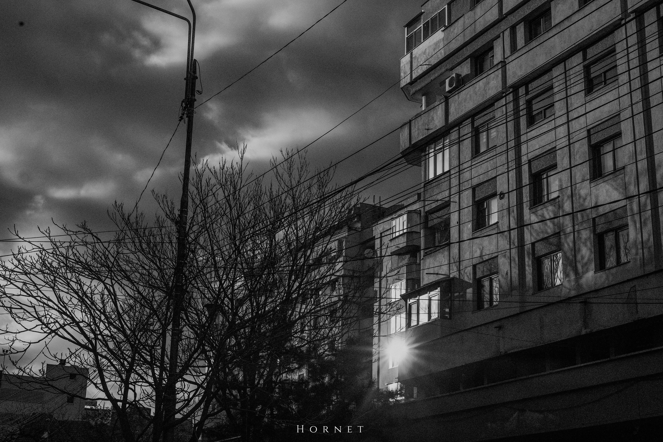 12.04.2025 Ploiesti | Romania. Hornetart