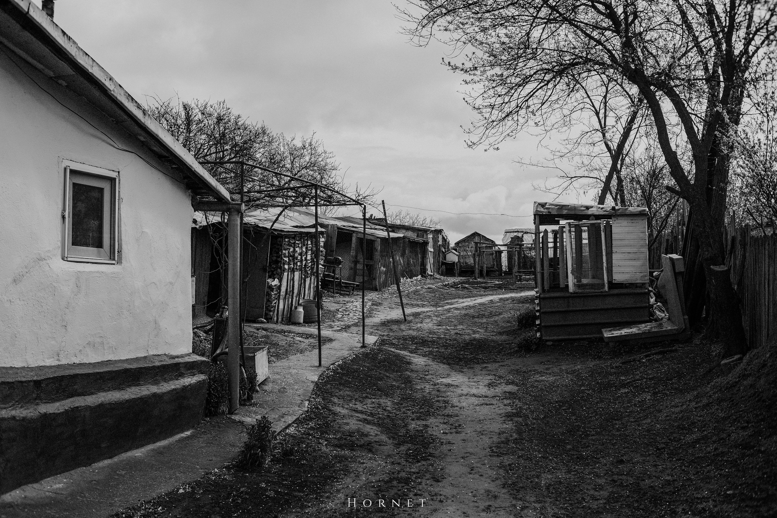 30.03.2025 Buzau | Romania. Hornetart