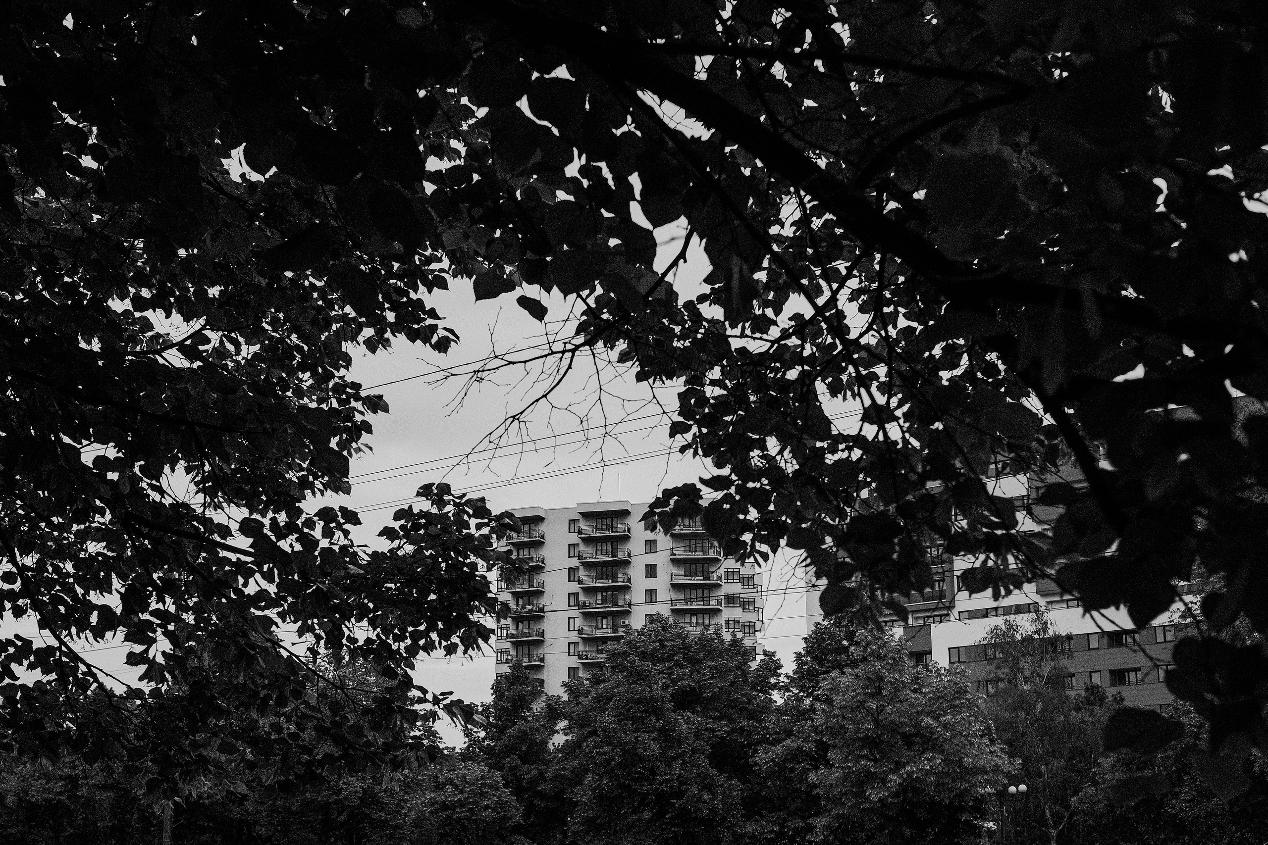 10.05.2025 Ploiesti | Romania. Hornetart