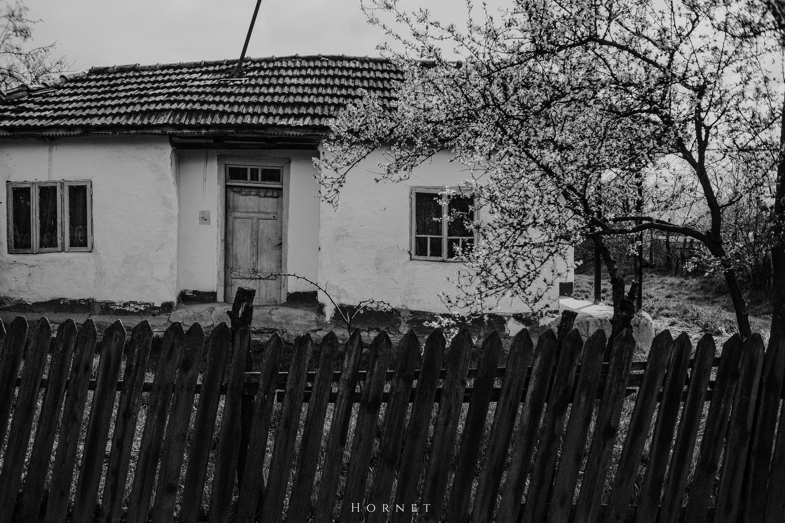 30.03.2025 Buzau | Romania. Hornetart