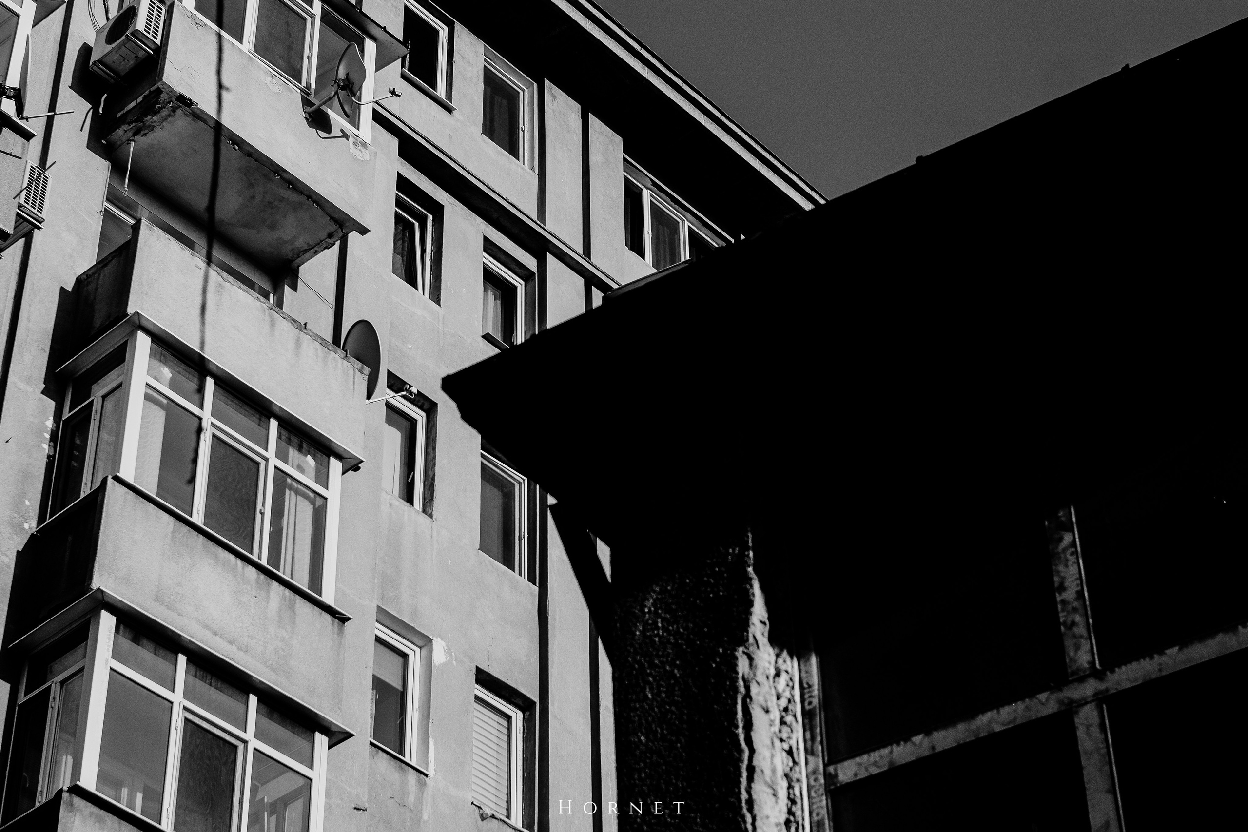 7.02.2025 Ploiesti | Romania. Hornetart