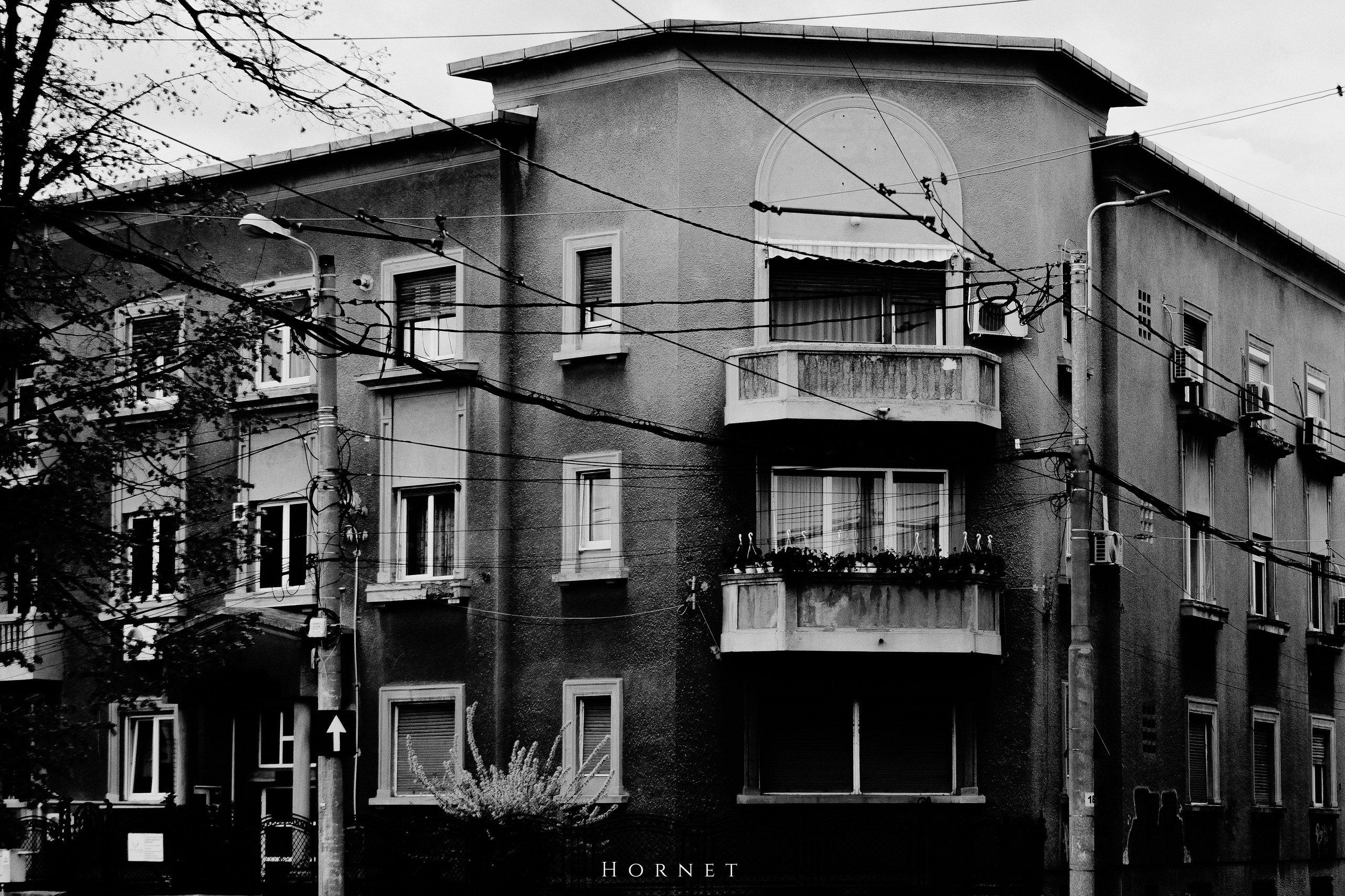 5.04.2025 Ploiesti | Romania. Hornetart