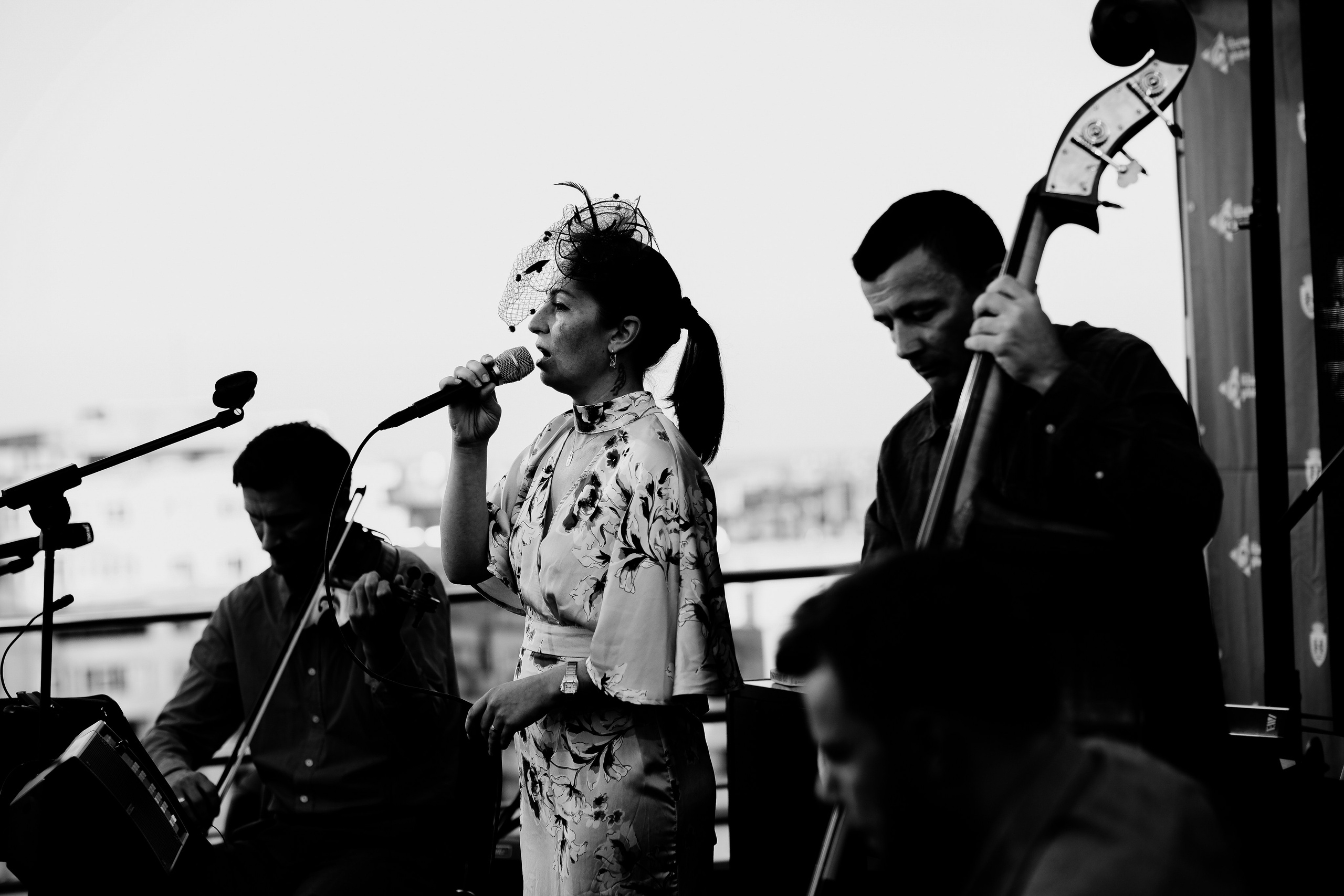 Luiza Zan & Jazzpar Trio. Hornetart